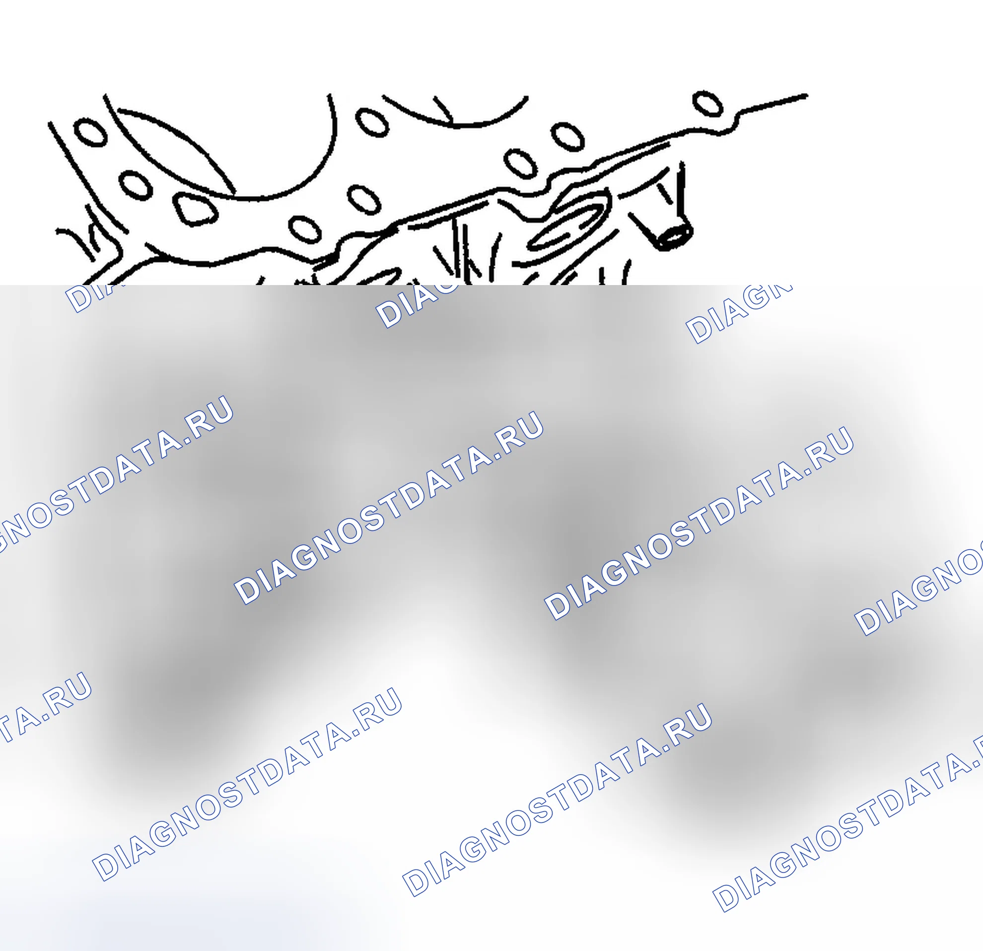 Рис. 981. Chevrolet Silverado 2500 