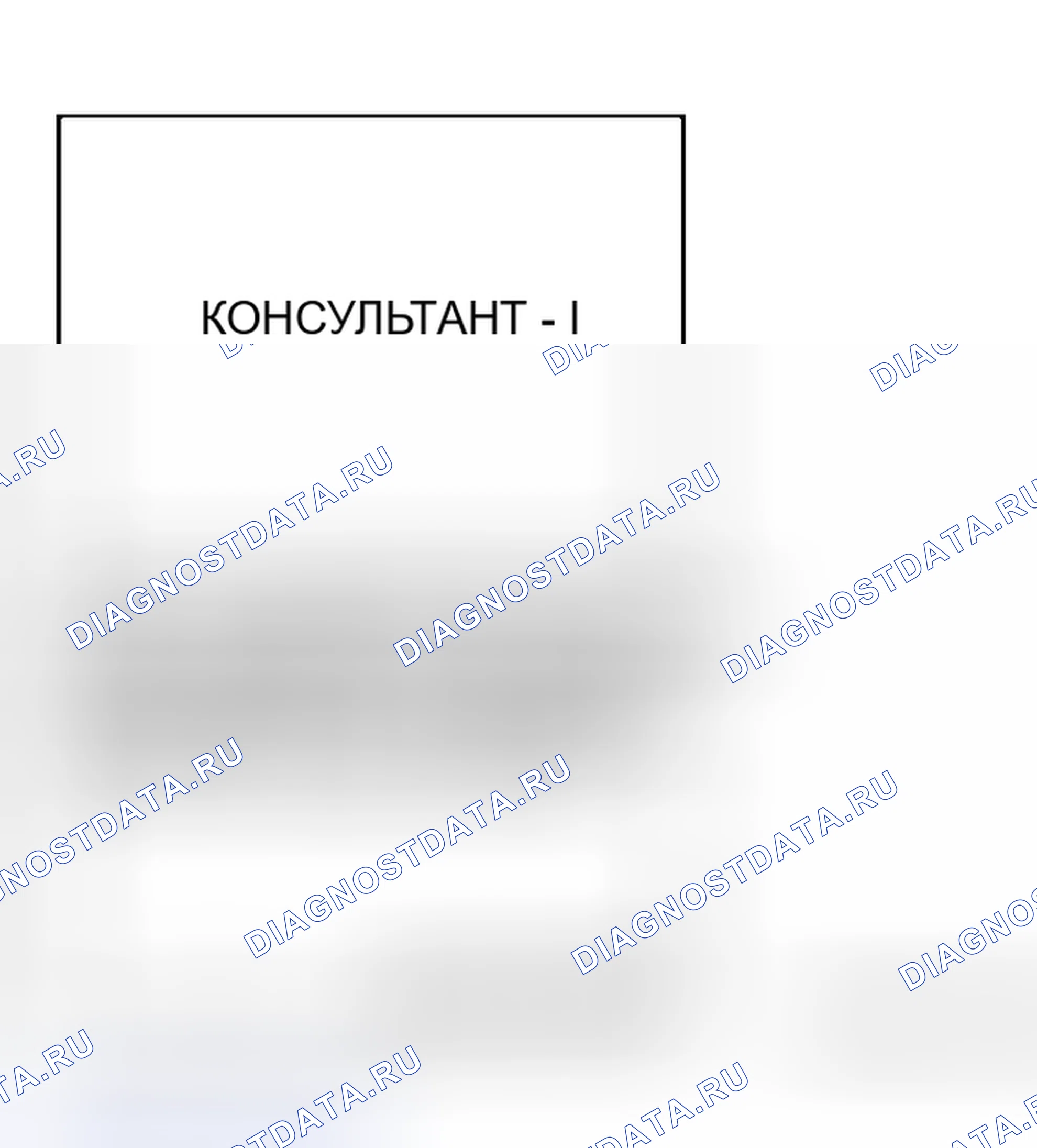 Рис. 61. Honda Street I