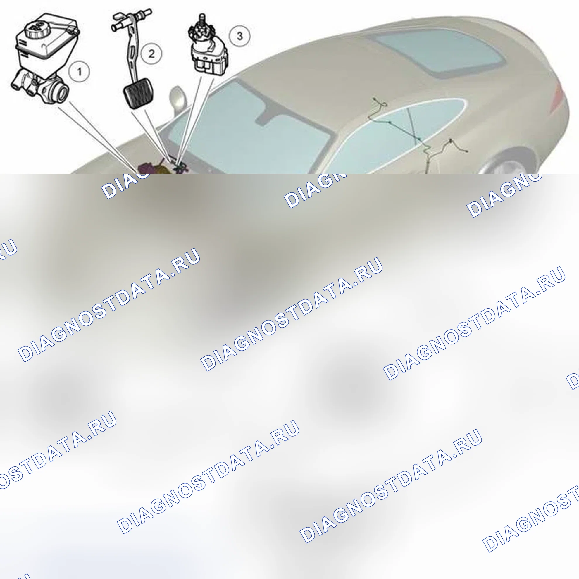 Рис. 19: РАСПОЛОЖЕНИЕ КОМПОНЕНТОВ. Jaguar XKR II