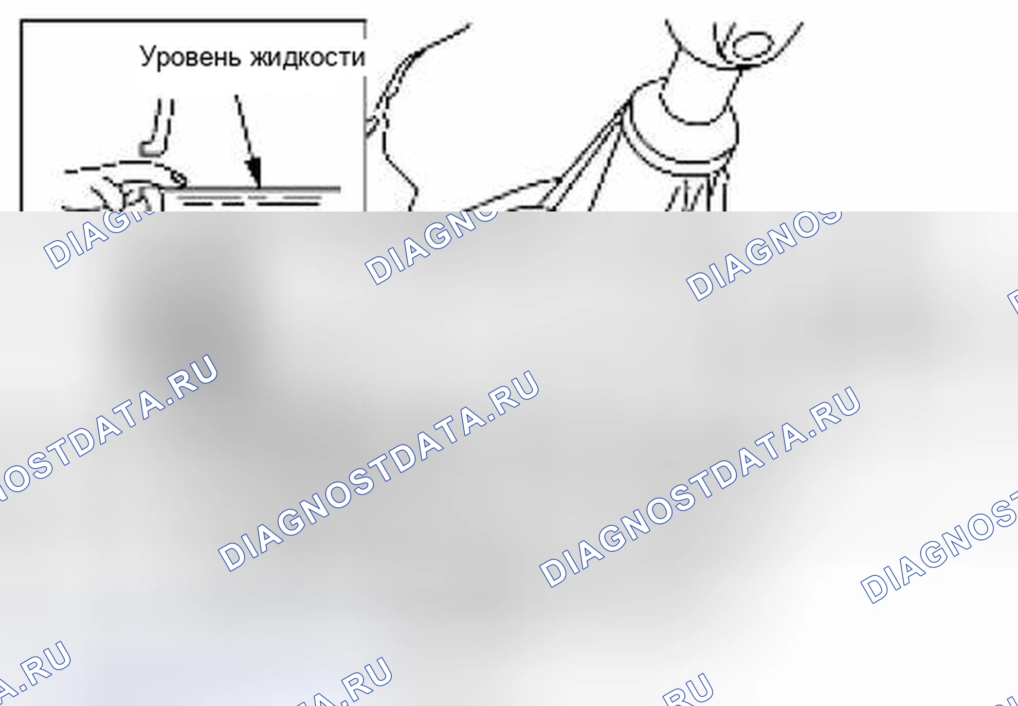 Рис. 12: УТЕЧКА И УРОВЕНЬ ЖИДКОСТИ. Suzuki Equator I