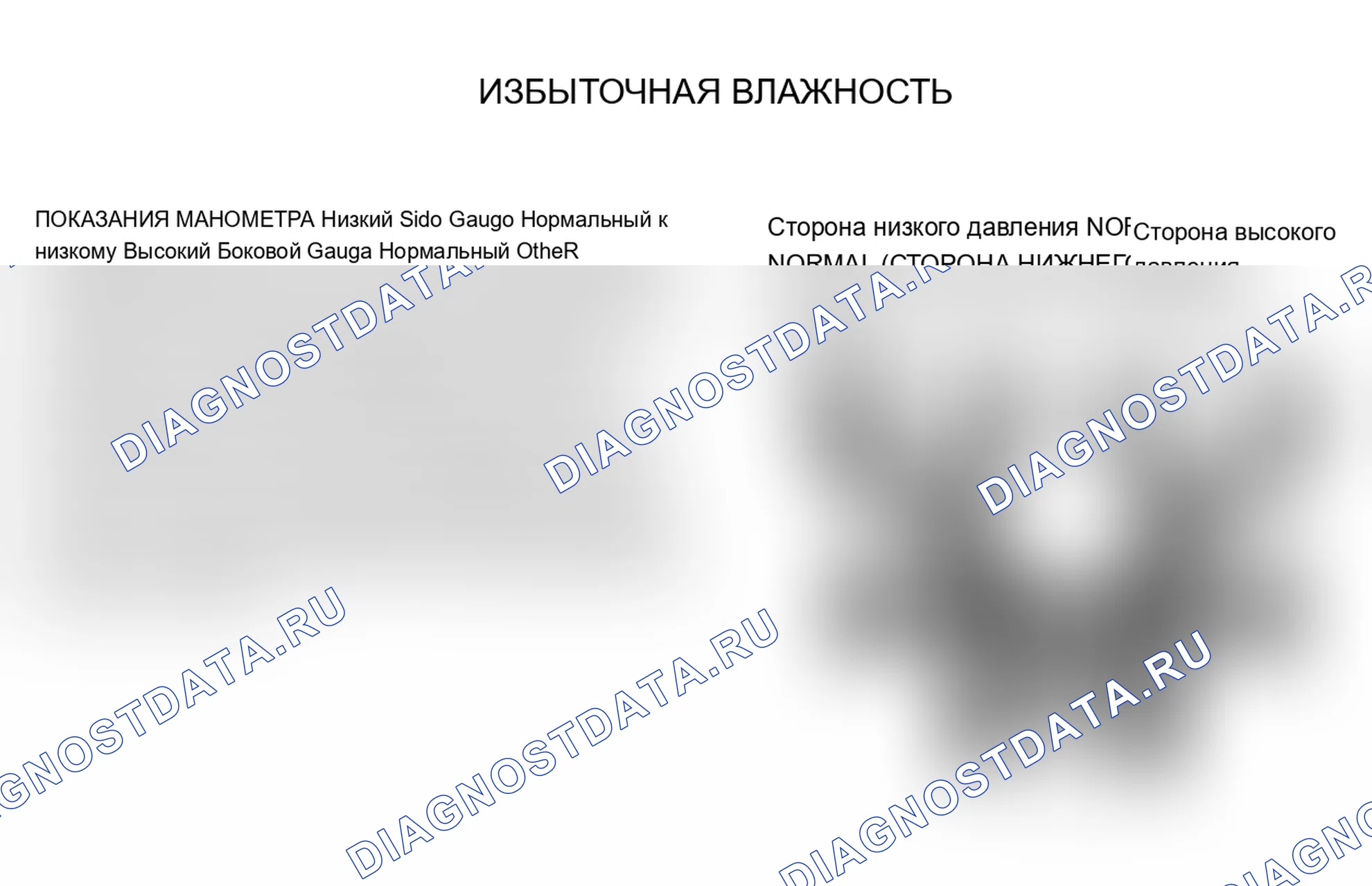 Рис. 3: Показания манометра избыточного давления влаги. Jeep Wrangler I