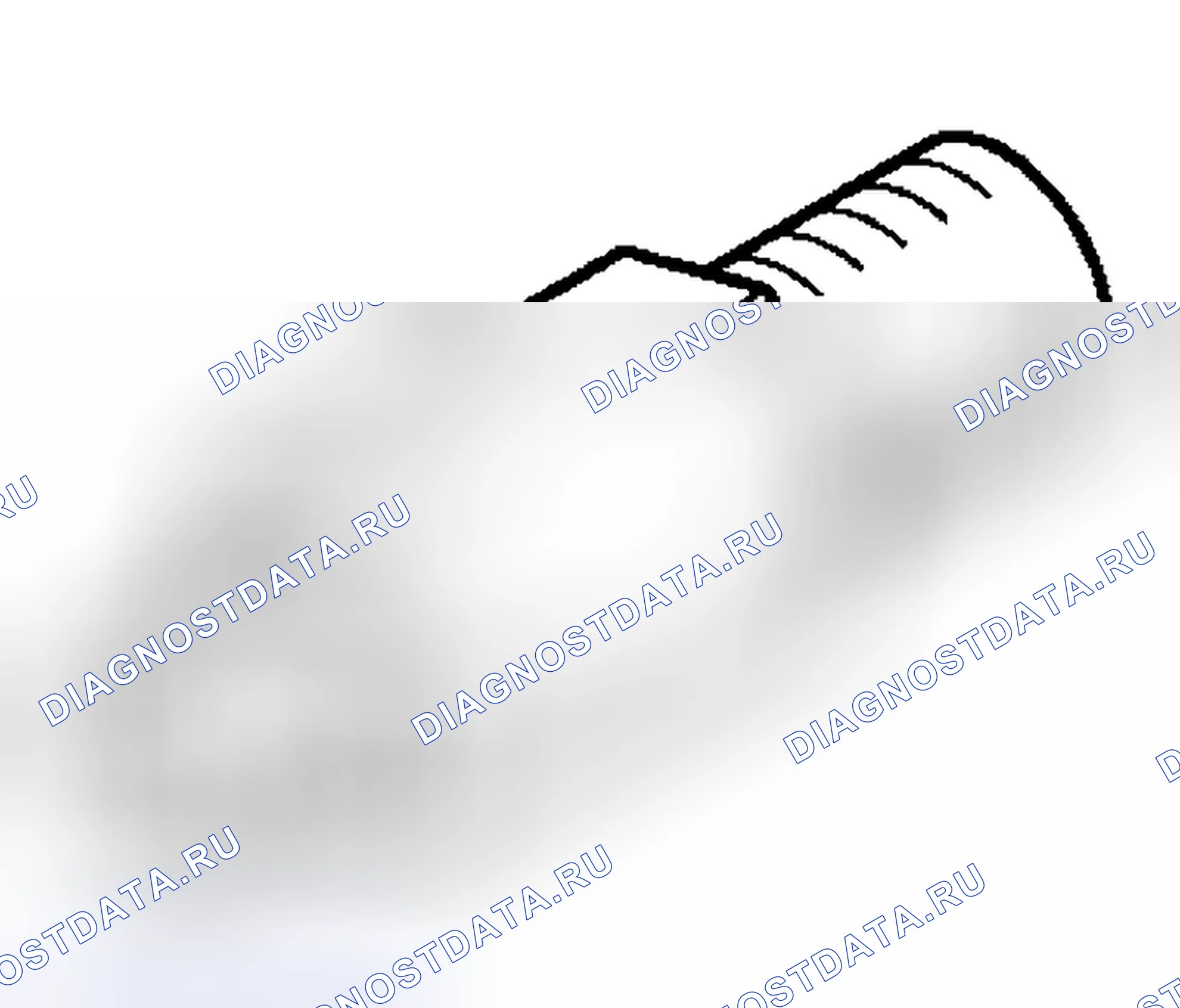 Рис. 237. Mitsubishi Endeavor I