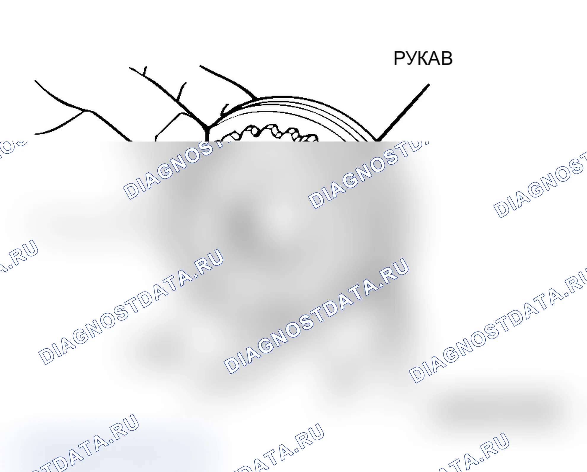 Рис. 115: ВТУЛКА И СТУПИЦА СИНХРОНИЗАТОРА. Mitsubishi Lancer Ralliart IX рестайлинг
