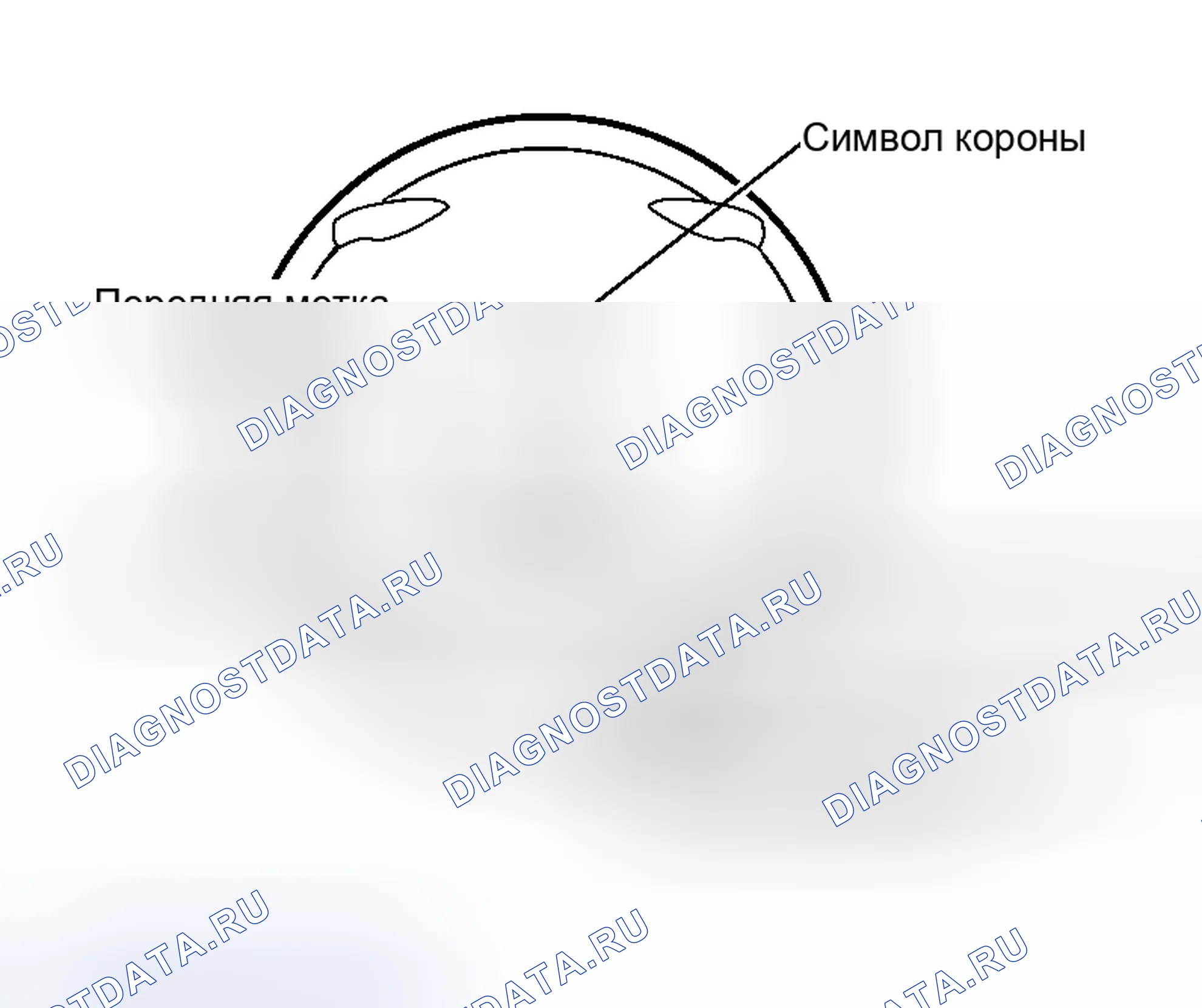 Рис. 216. Nissan Altima L31 рестайлинг