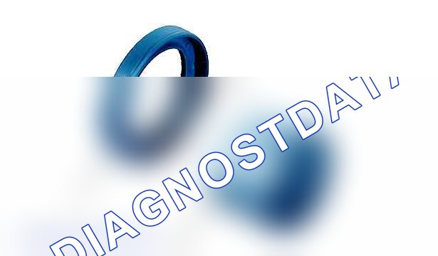 Снятие - установка: динамические уплотнительные манжеты (двигатель et3j4) — b1dp1mzd. Citroen C2 I