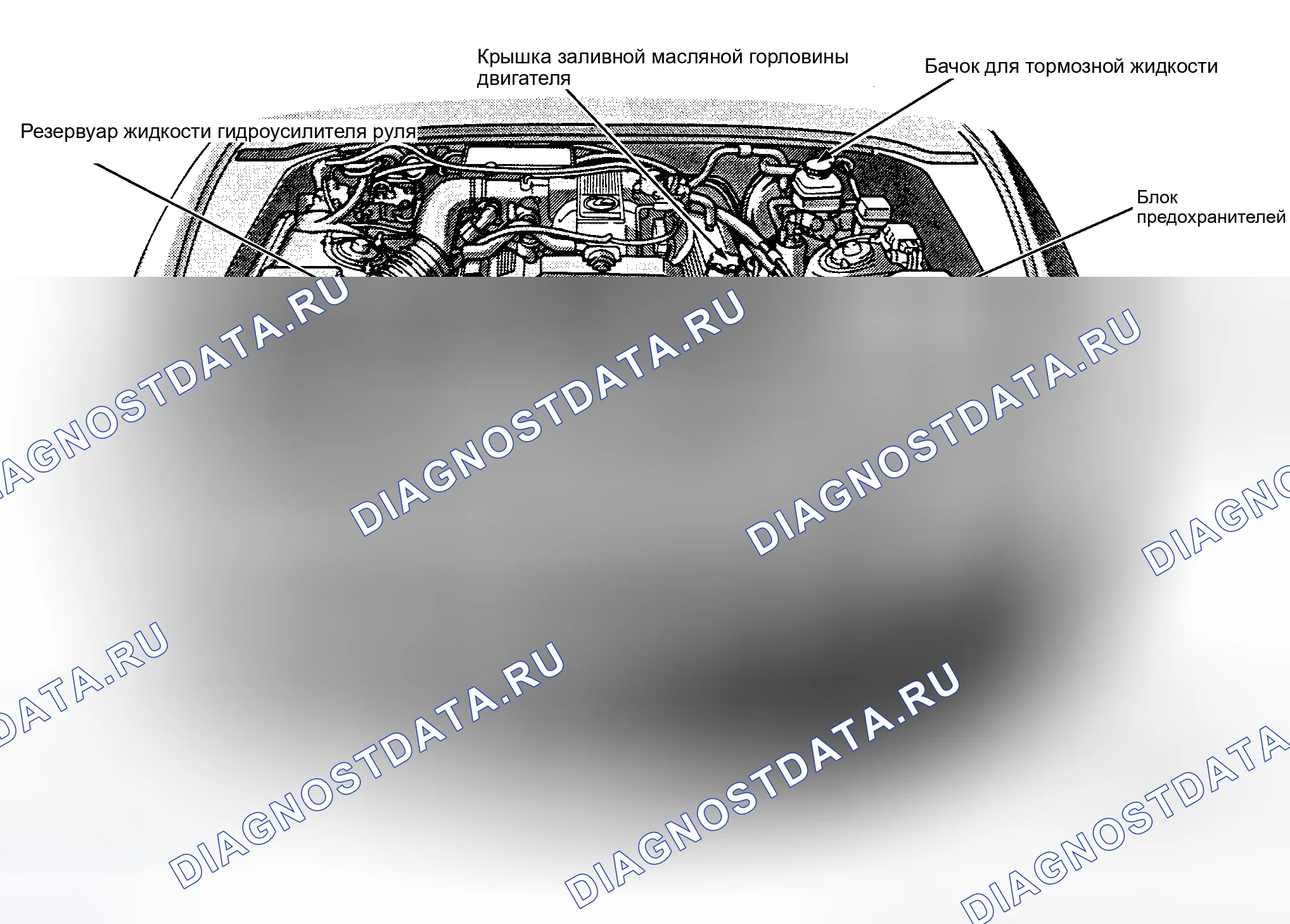 Рис. 10: РАСПОЛОЖЕНИЕ ТОЧЕК ОБСЛУЖИВАНИЯ. Honda CR-V V