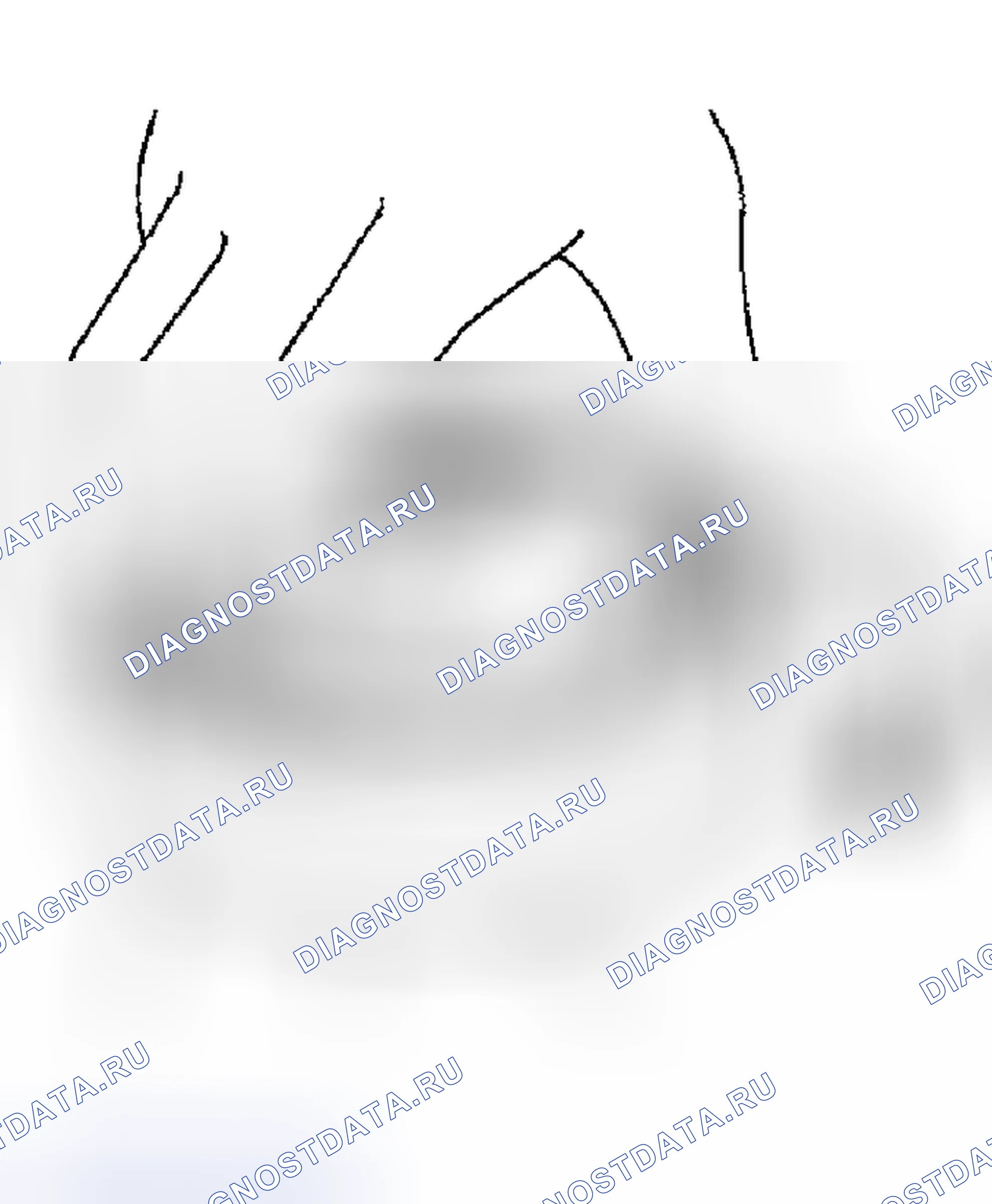 Рис. 51: Подшипник. Nissan 350Z I