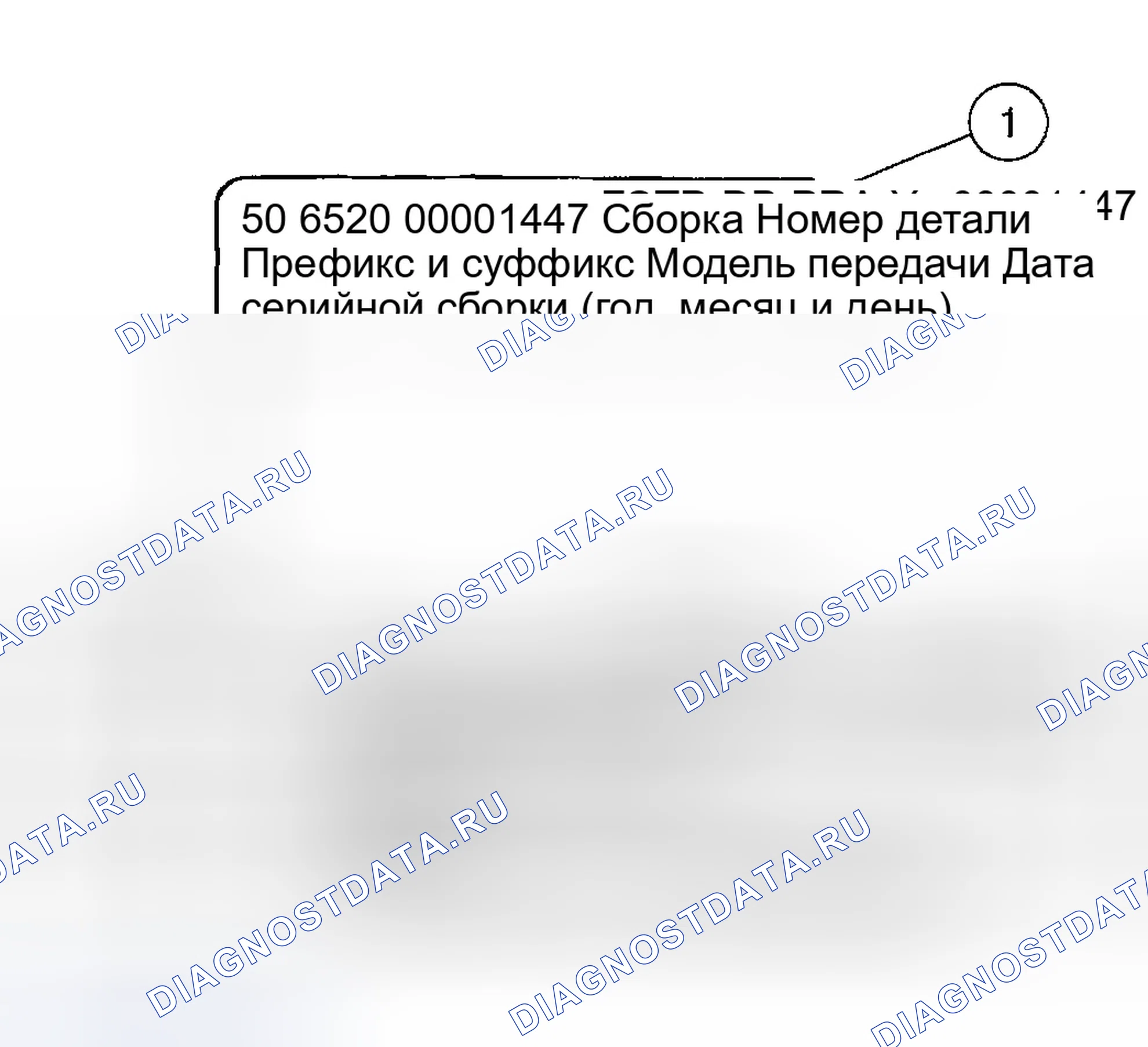 Рис. 48: ИДЕНТИФИКАЦИОННЫЕ БИРКИ. Ford Excursion I