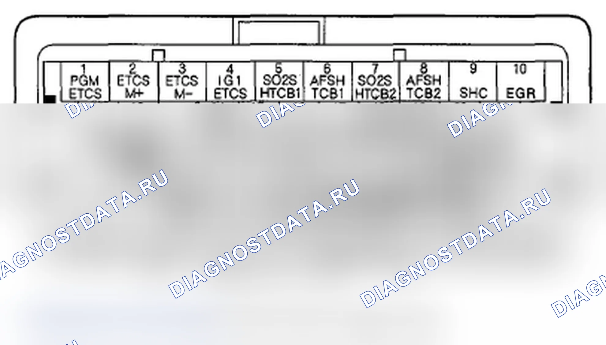 Рис. 219: Входы и выходы ИКМ разъема C (o) (49P). Acura MDX II рестайлинг