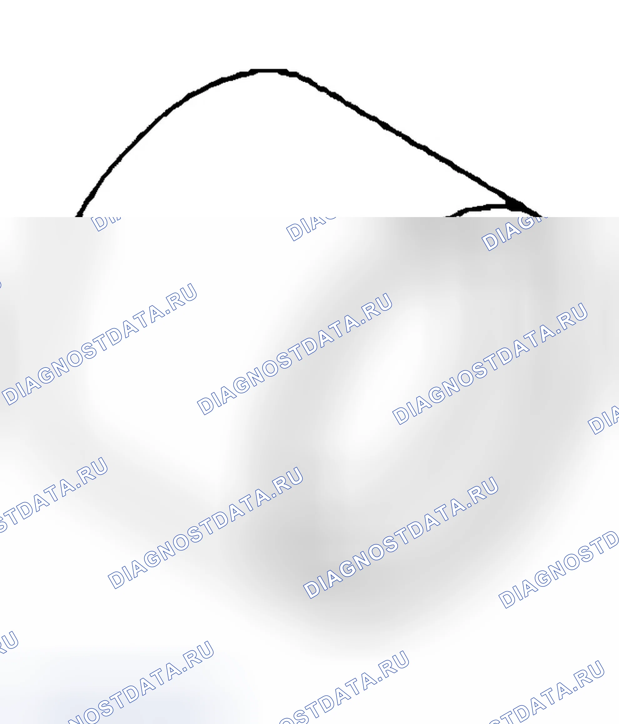 Рис. 269. Jeep Liberty I