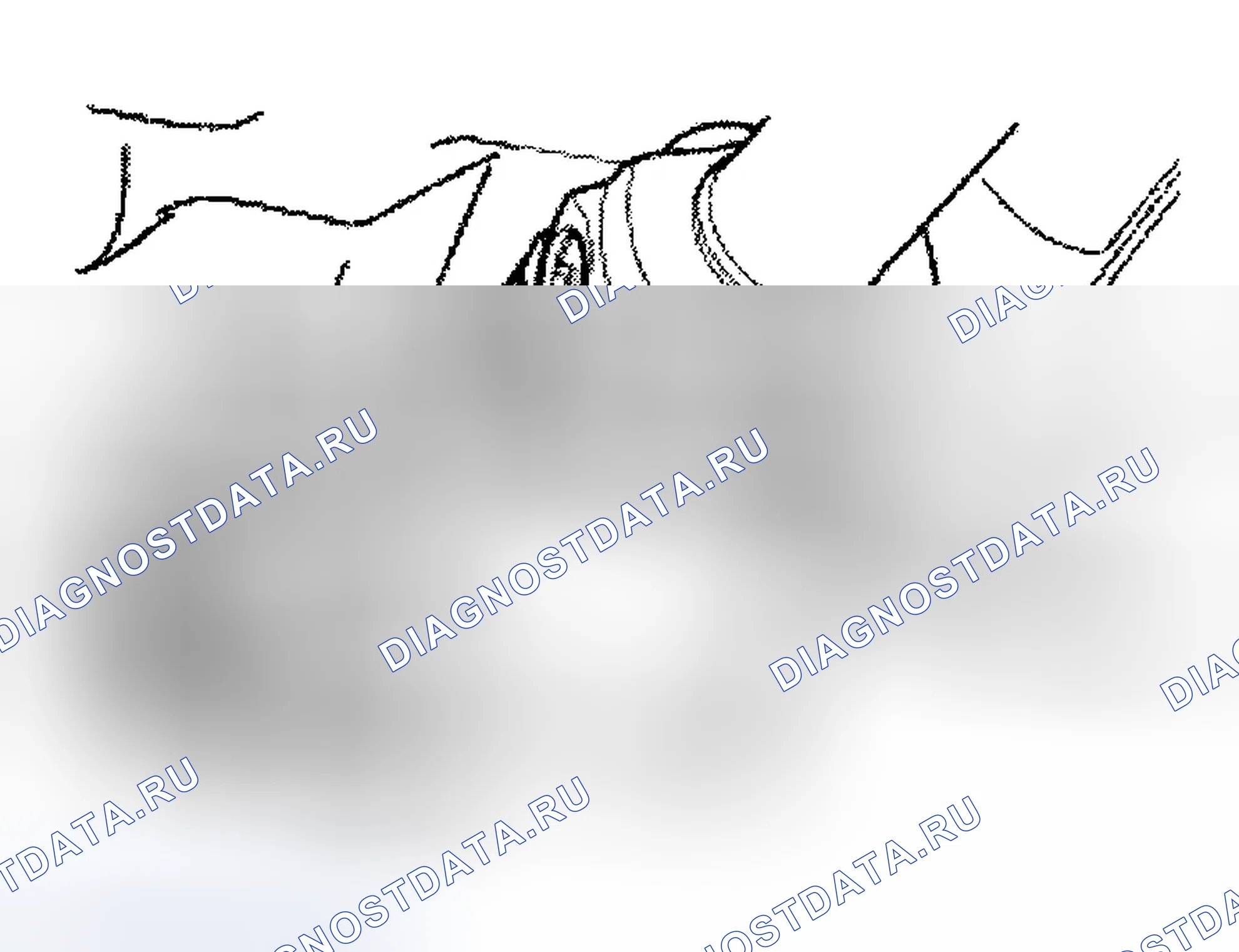 Рис. 13. Ford Ranger I