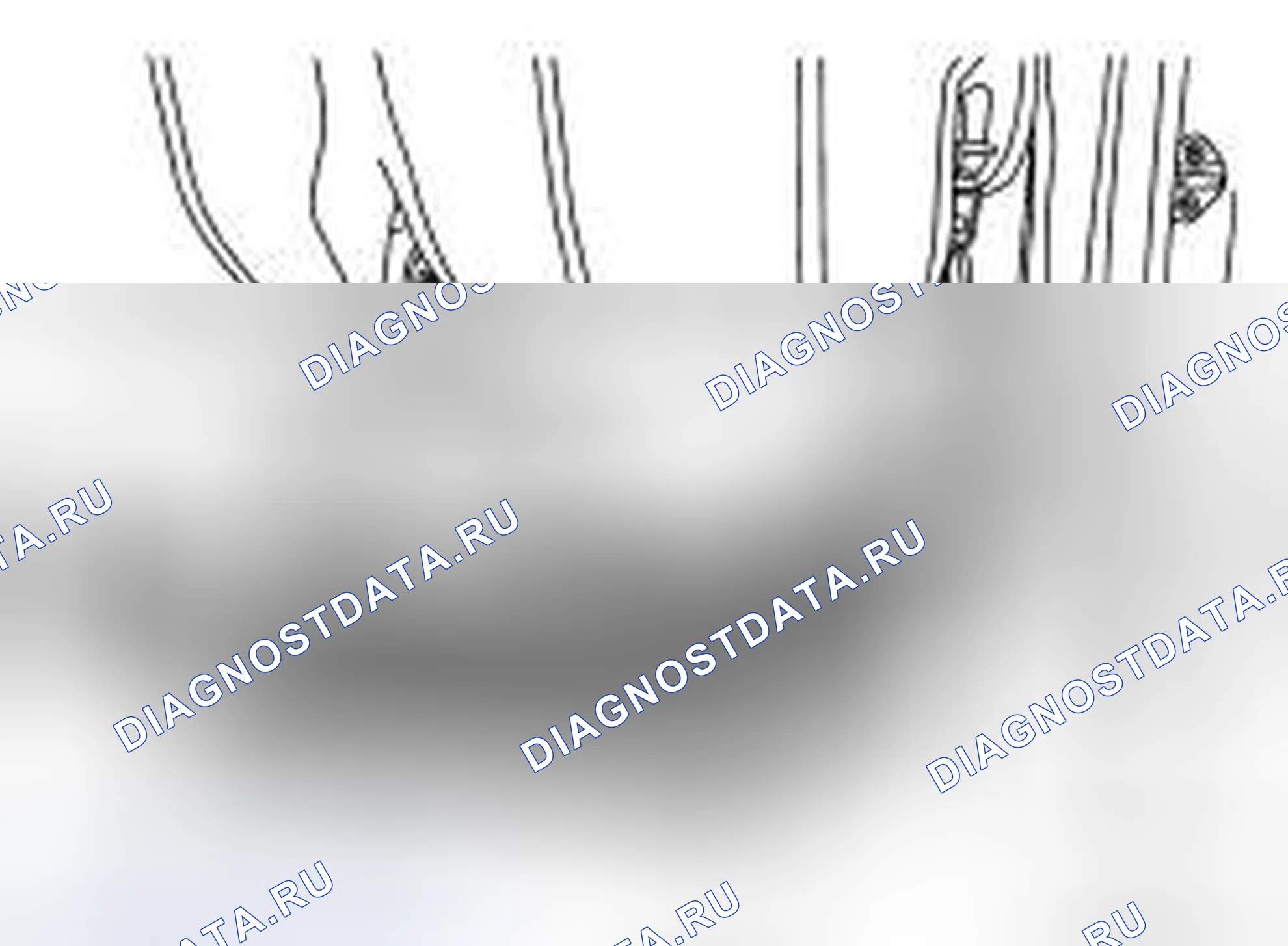Рис. 10. Nissan Frontier D40