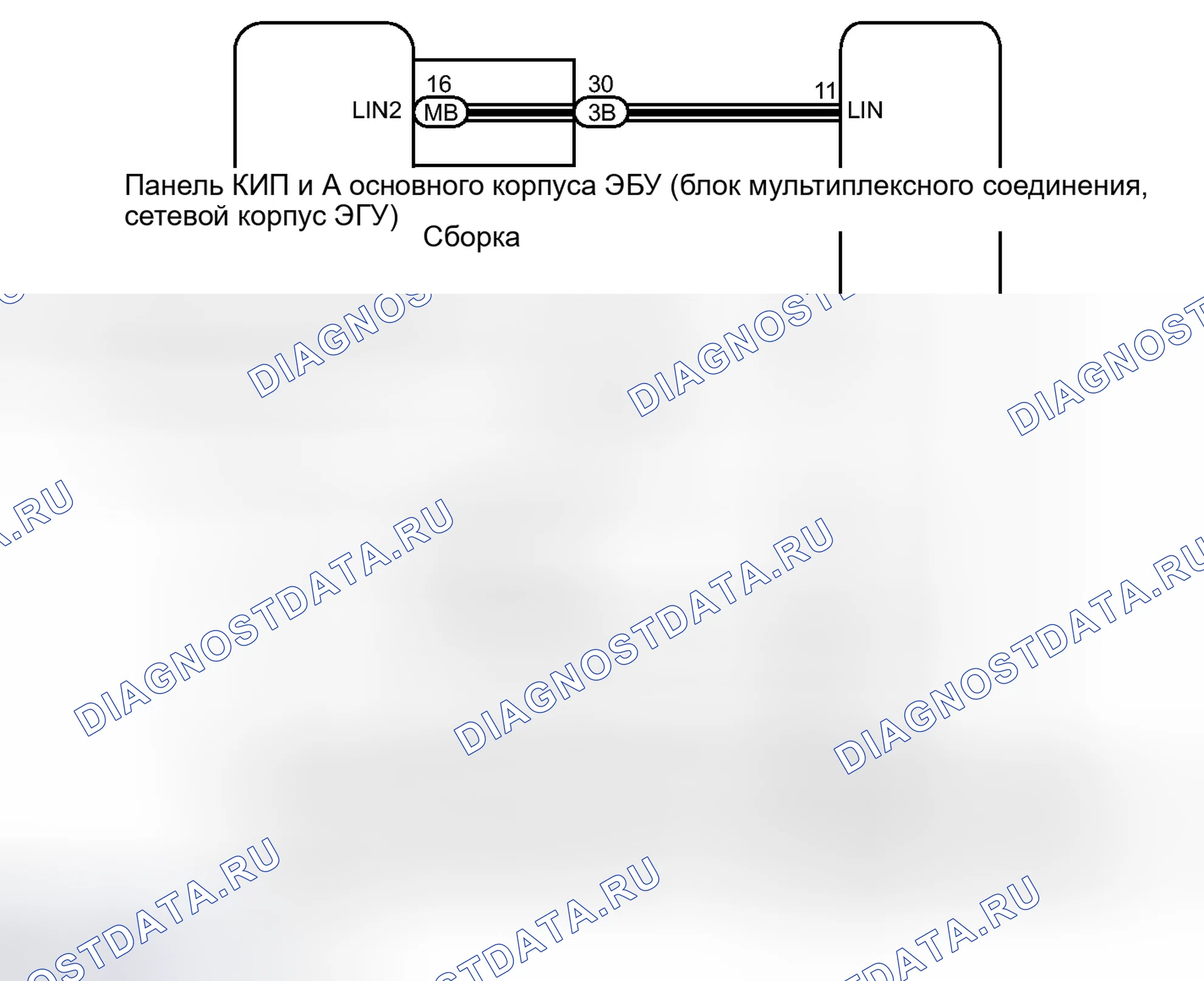 Рис. 38: электросхема. Toyota Avalon XX40
