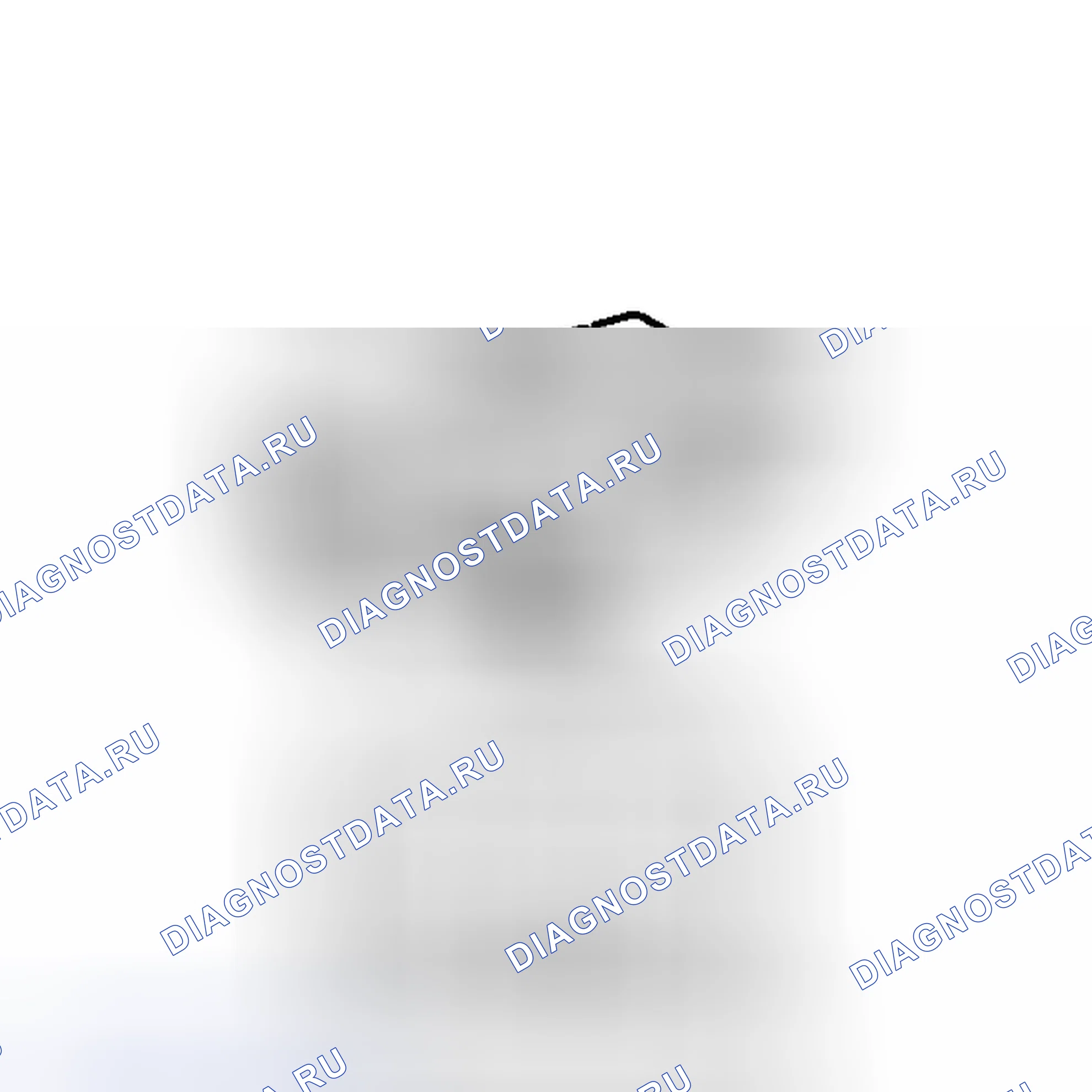 Рис. 169. Haval H6S I