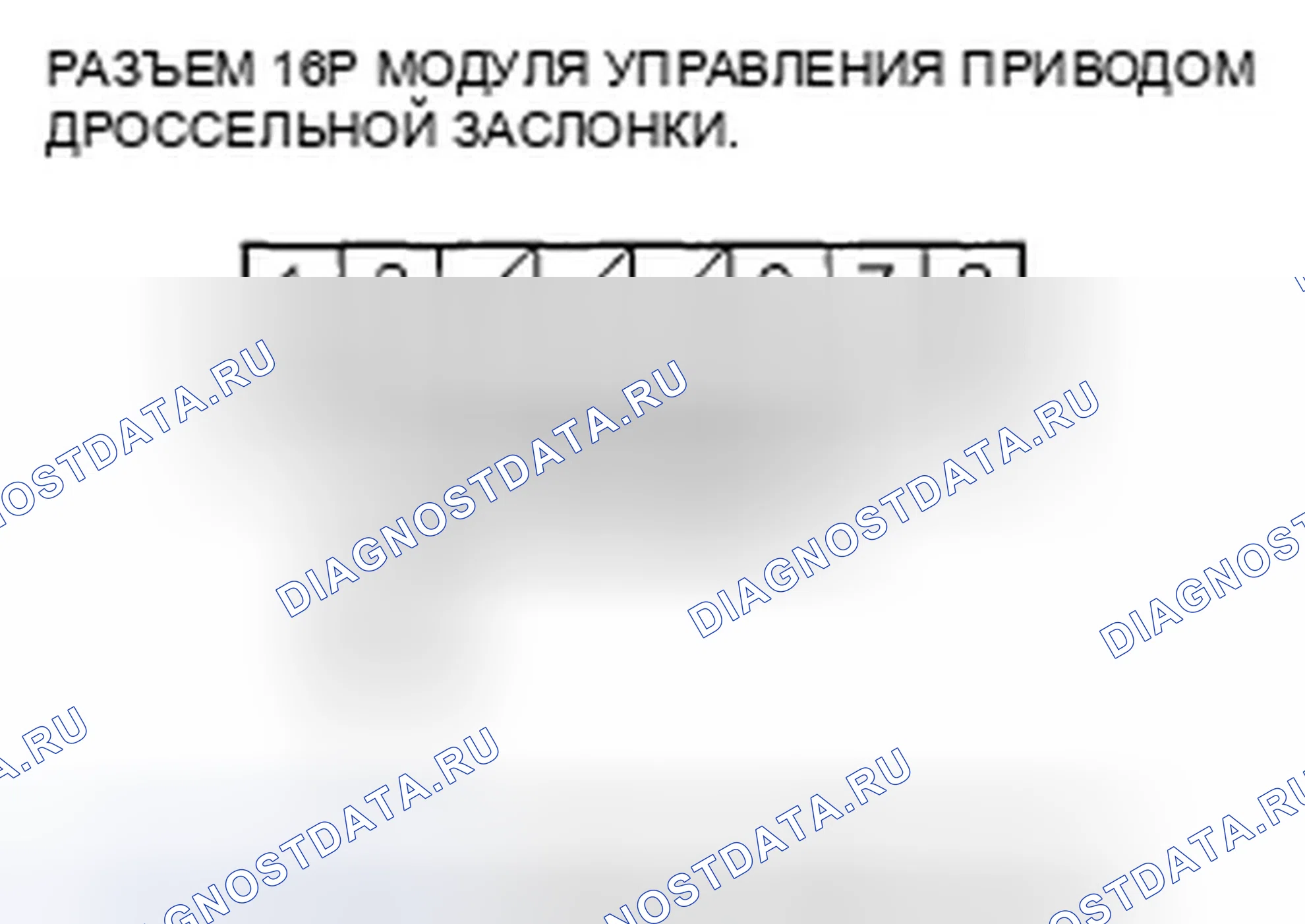 Рис. 295. Honda Element YH2 рестайлинг