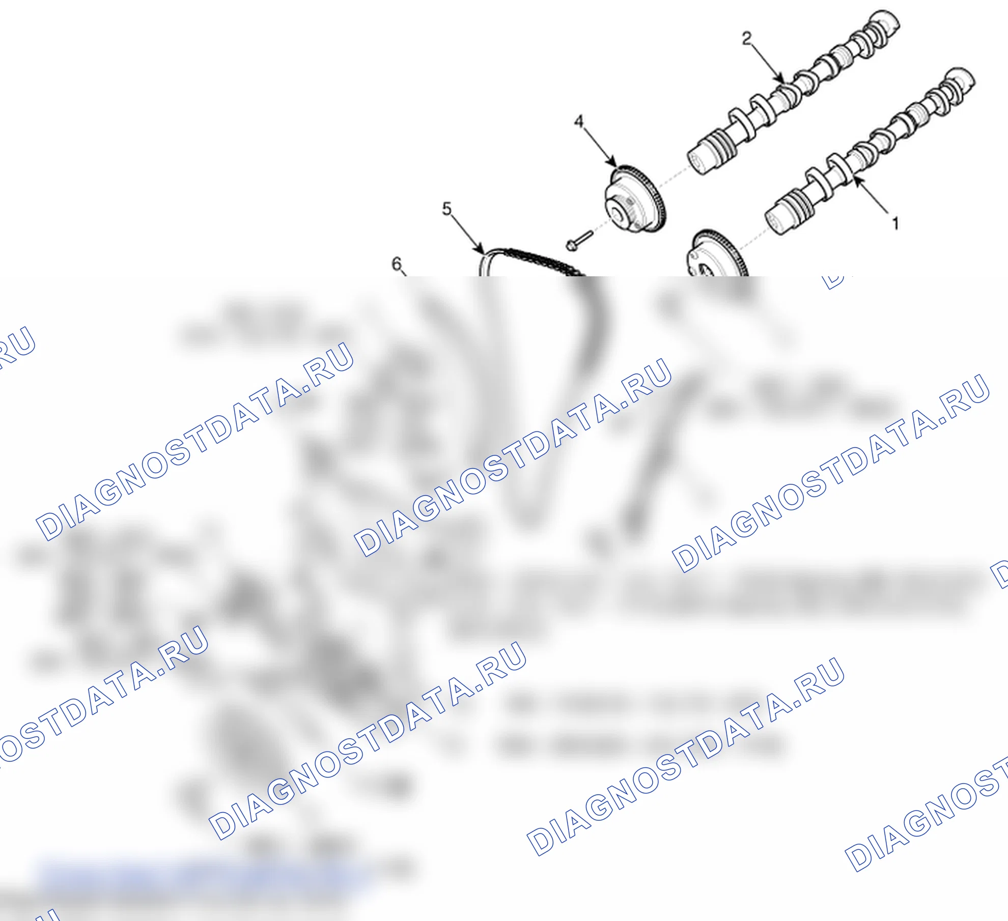 Детали цепи ГРМ. Hyundai ix35 EL