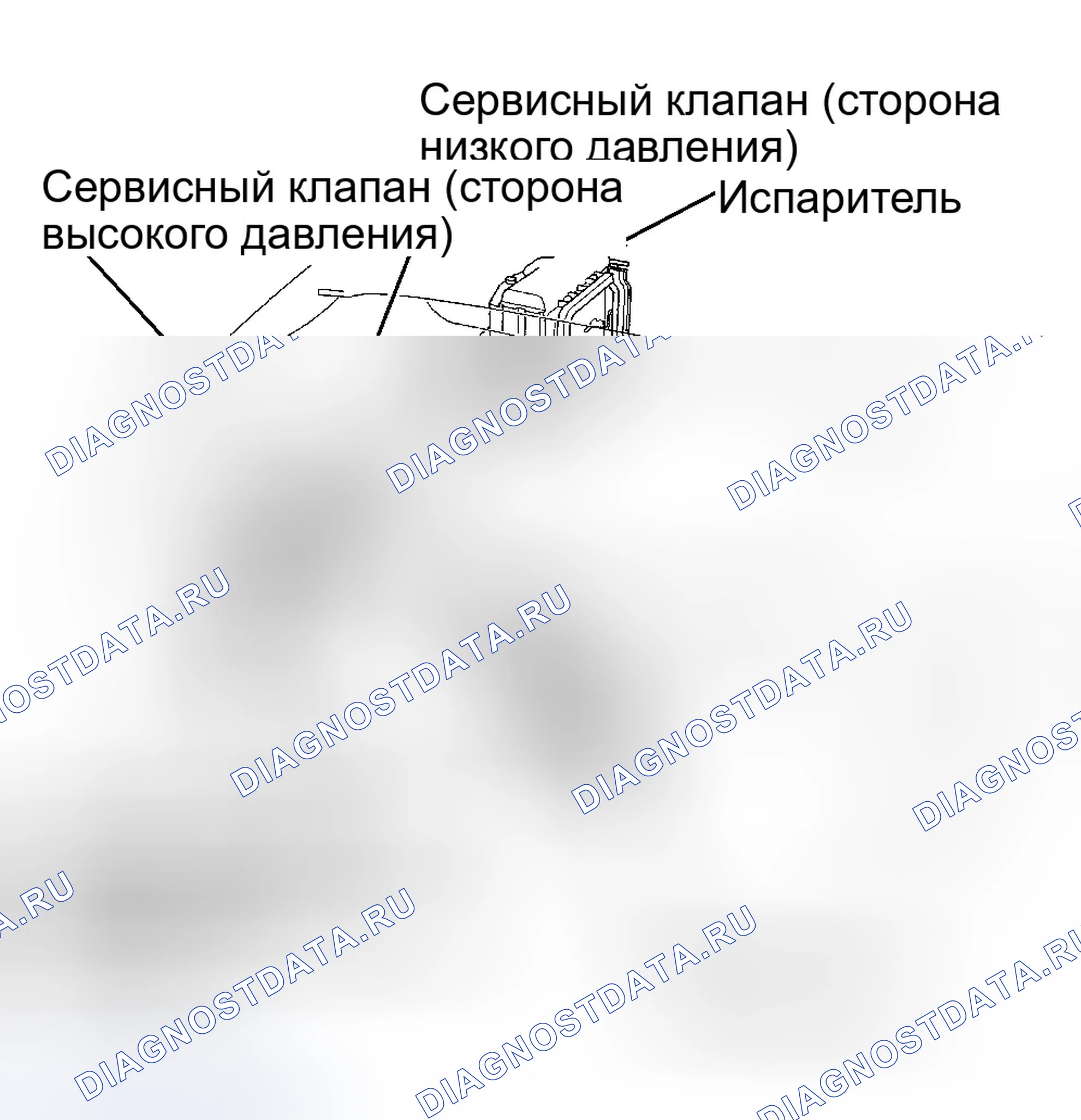 Рис. 3: Модуль управления трансмиссией (блок управления силовым агрегатом (PCM) (блок управления силовым агрегатом)). Isuzu Oasis I