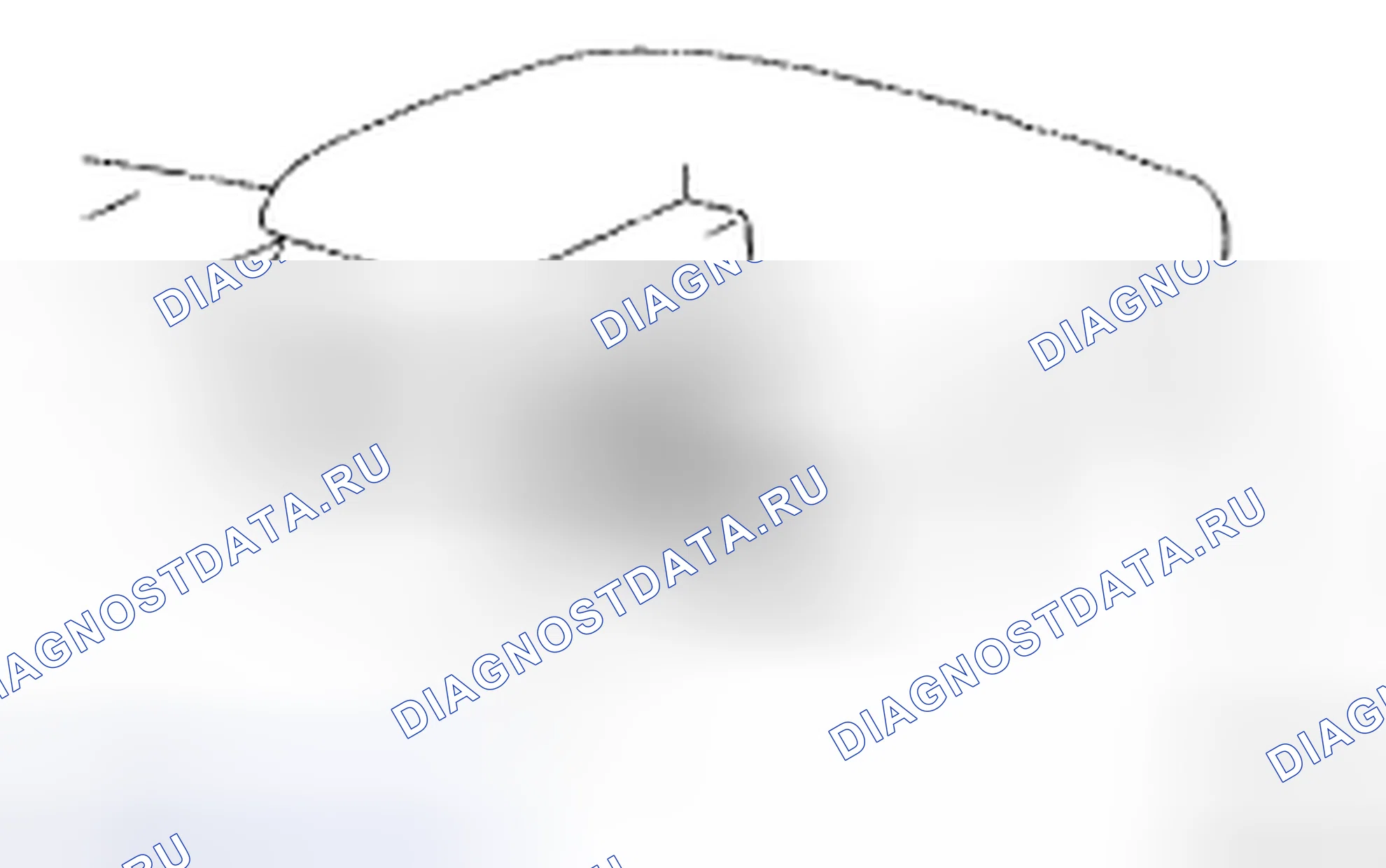Рис. 6: ДЕМОНТАЖ. Toyota 4Runner IV рестайлинг