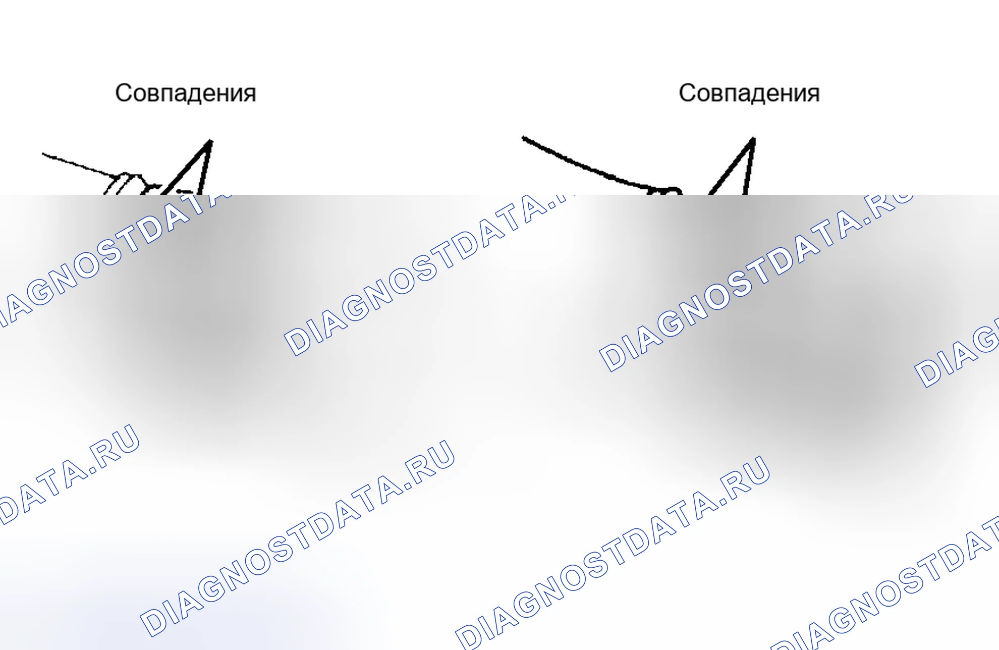 Рис. 4: РАЗБОРКА. Toyota Tacoma II