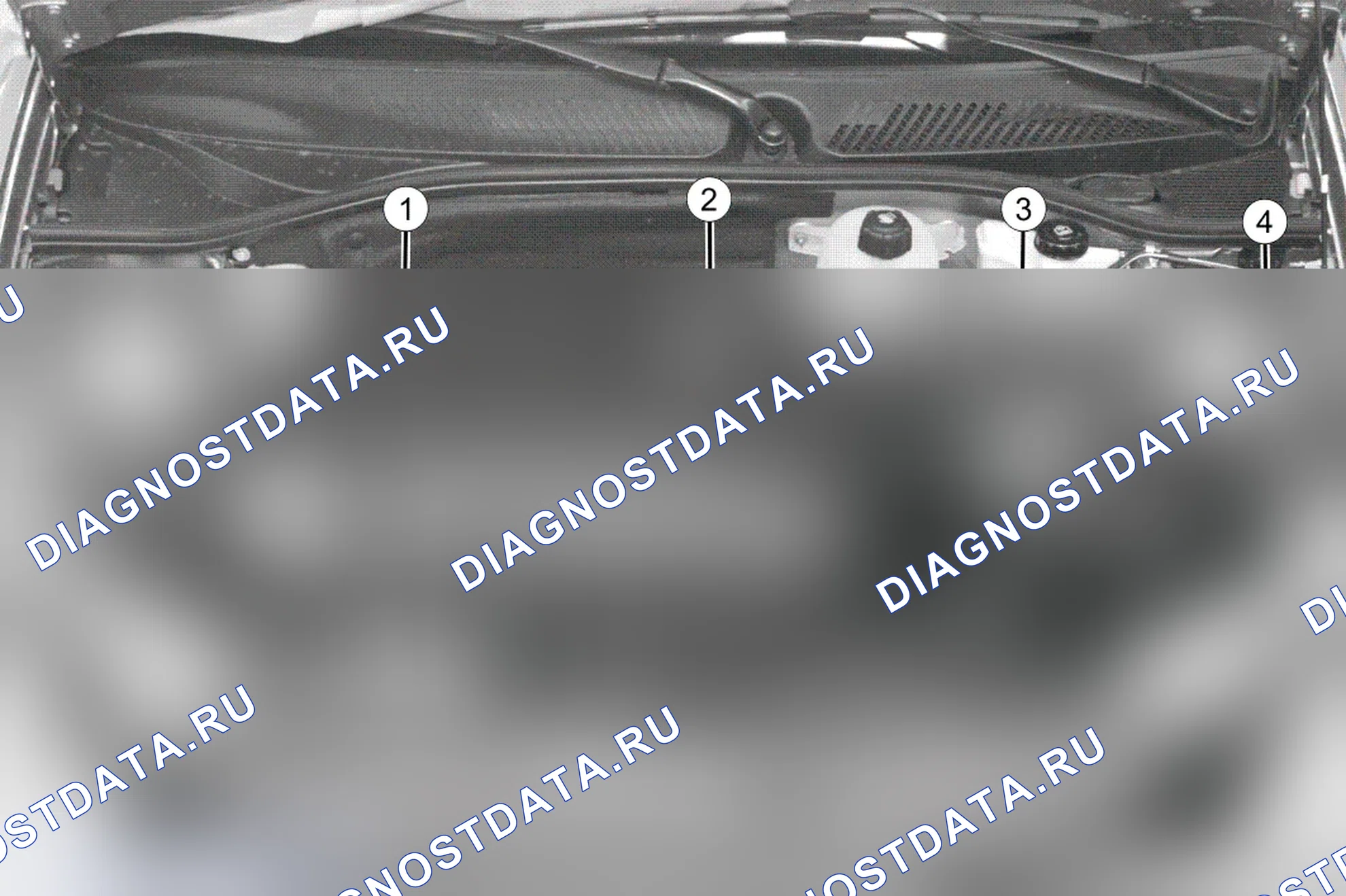Система впрыска топлива в сборе: перечень и расположение элементов — двигатель D4F (1.2 бензин). Renault Symbol I