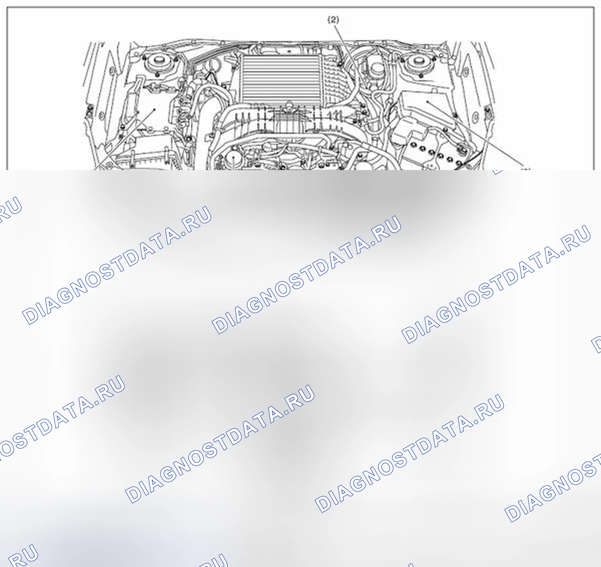 Рис. 136: РАСПОЛОЖЕНИЕ. Subaru Forester SJ