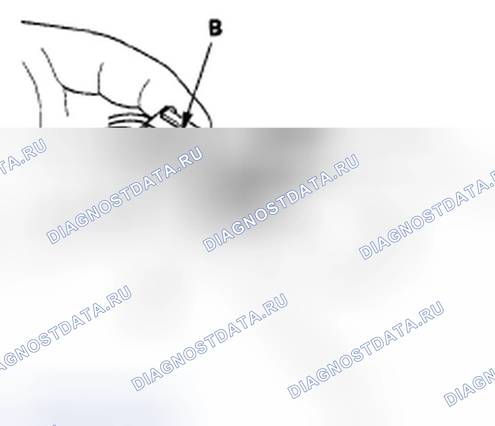 Рис. 264: Подключение. Honda Element YH2 рестайлинг 2