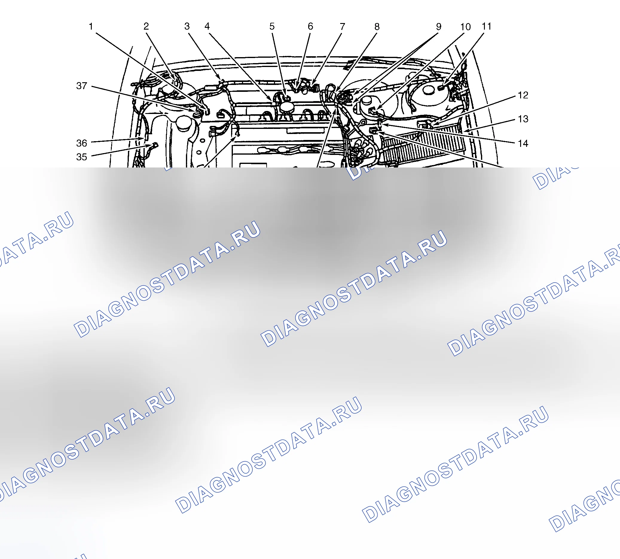 Рис. 1: Моторный отсек (2.0л). Hyundai Palisade I