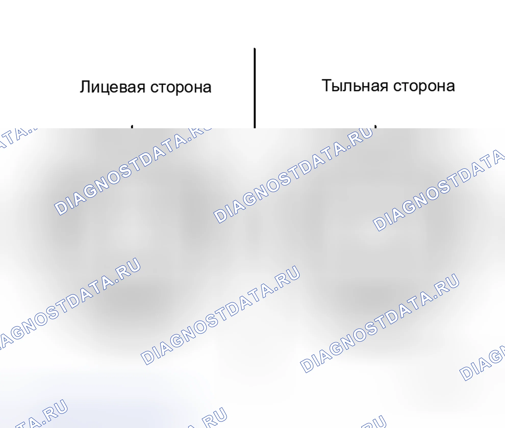 Рис. 300: СБОРКА. Honda Street I