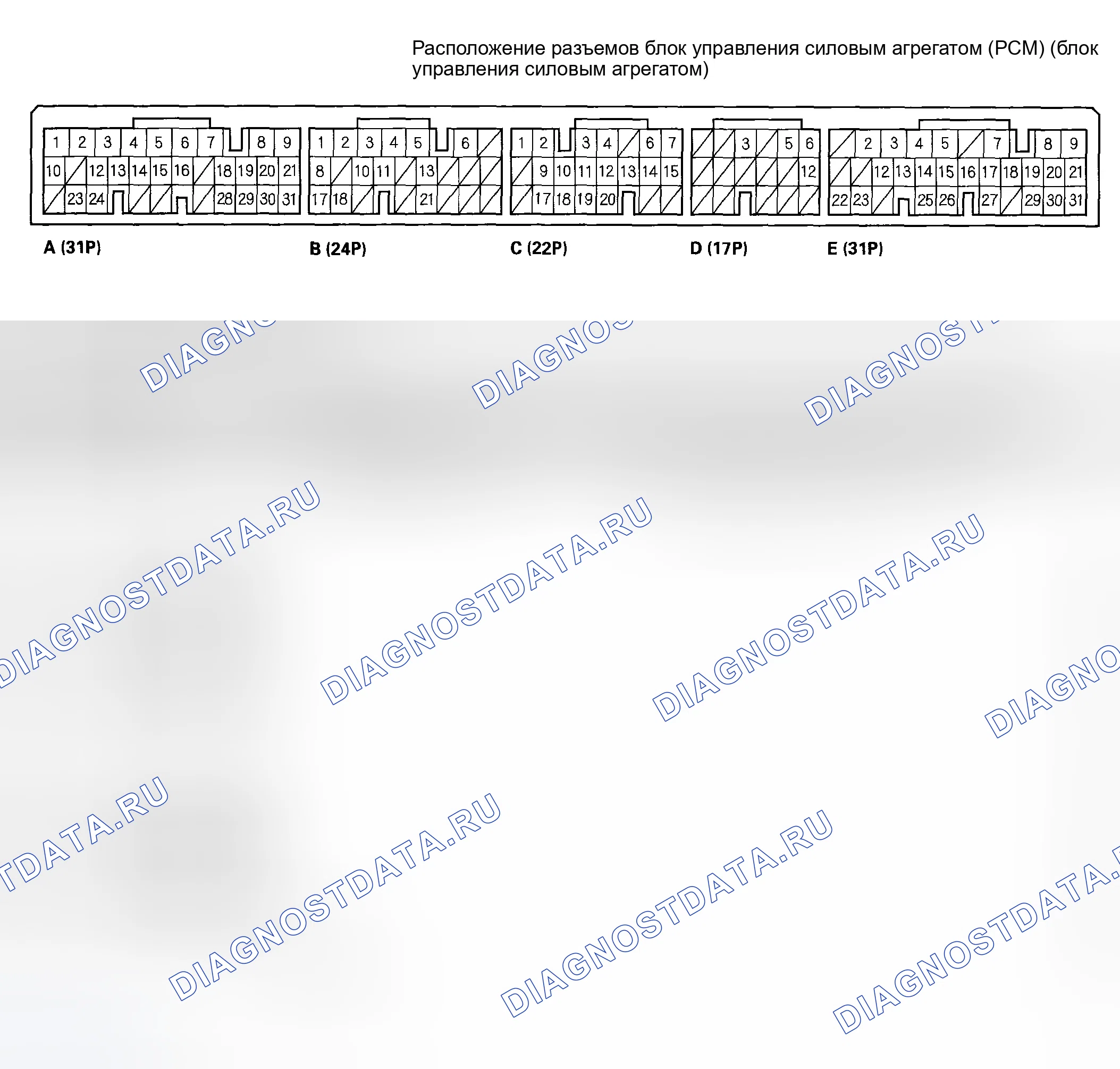 Рис. 454: Входы и выходы ИКМ. Honda Element YH2