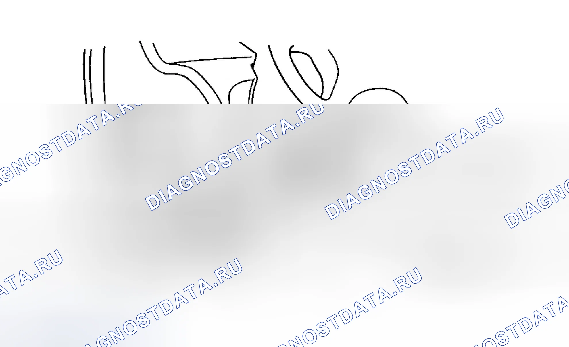 Рис. 19. Honda Prelude IV