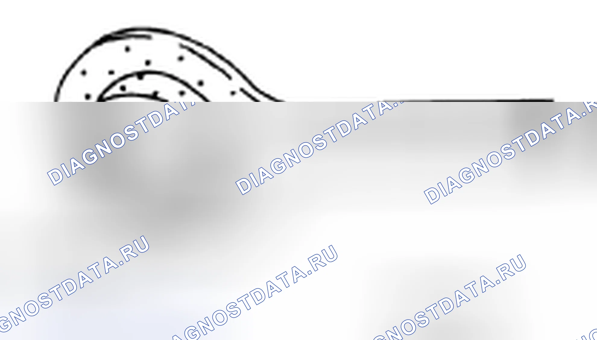 Рис. 117. BMW 4 серия F32/F33 рестайлинг