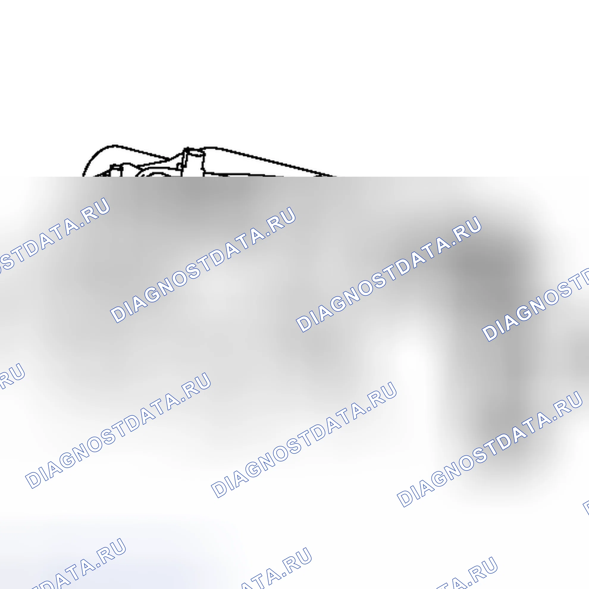 Рис. 54. Haval Raptor I