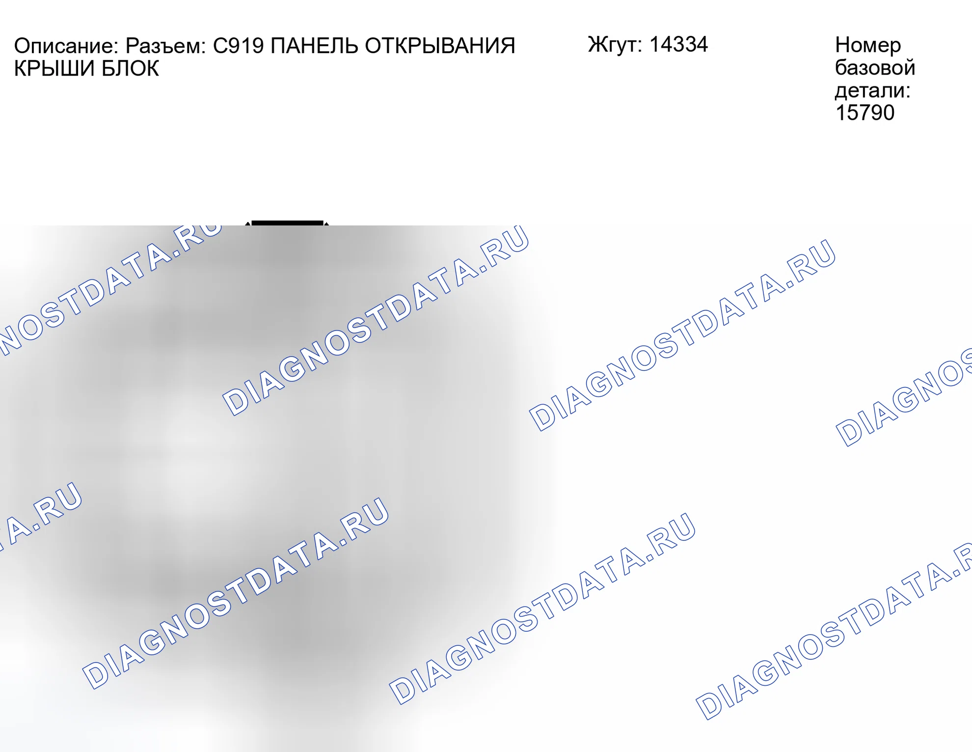 Рис. 211: Идентификация разъема C919. Ford Escape I рестайлинг