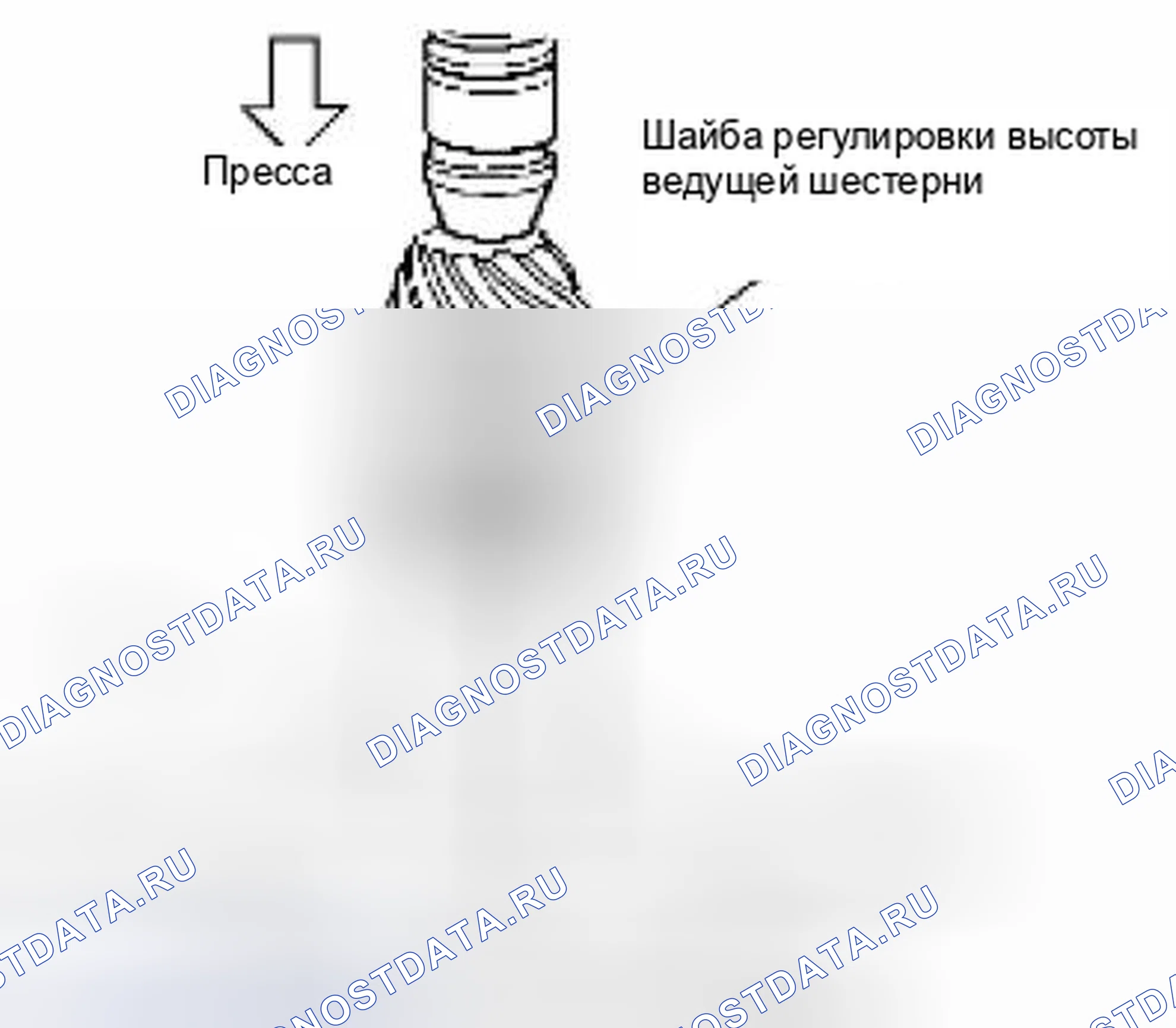 Рис. 290. Suzuki Equator I