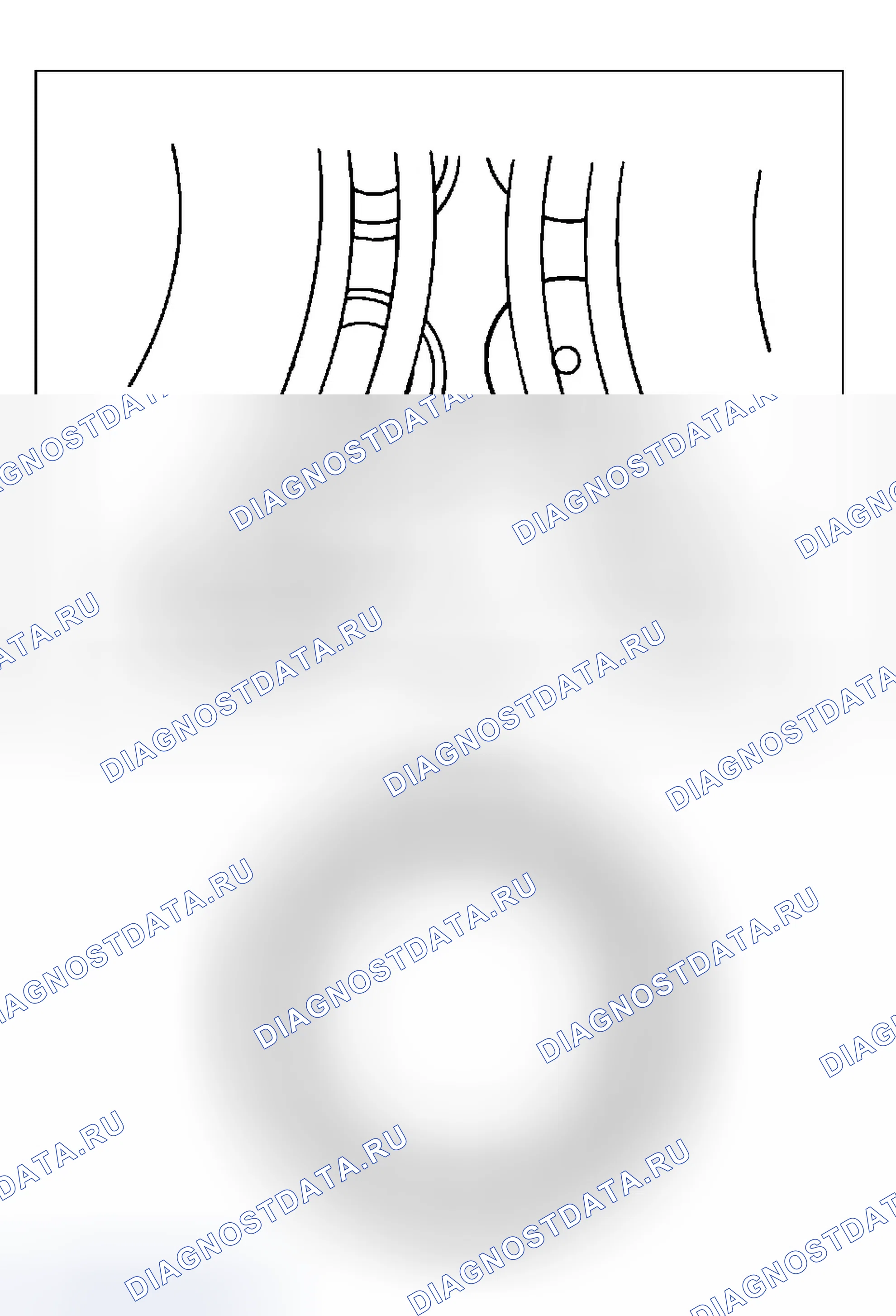 Рис. 377. Ford Cab & Chassis F350 Super Duty 