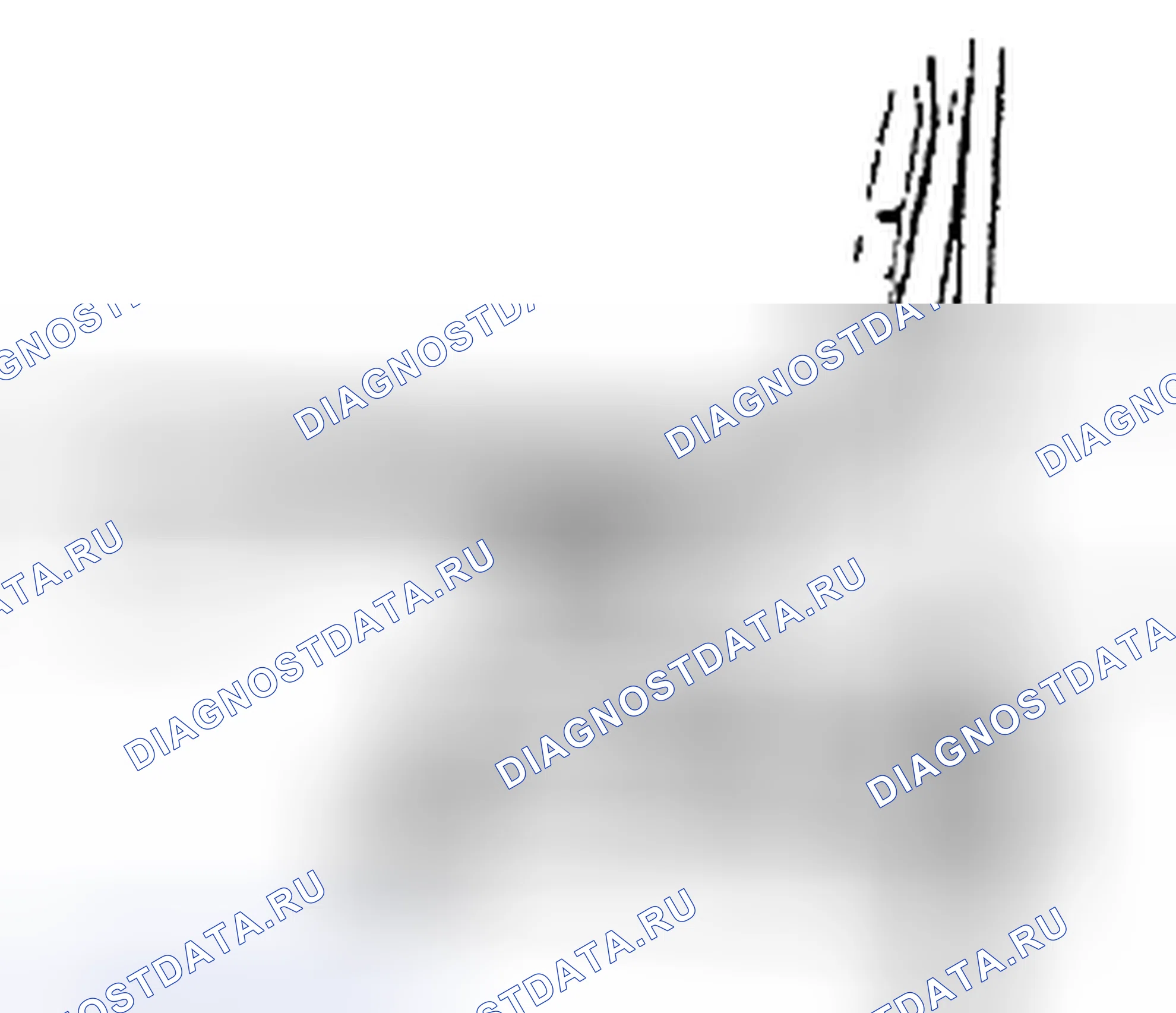 Рис. 29. Suzuki SX4 I