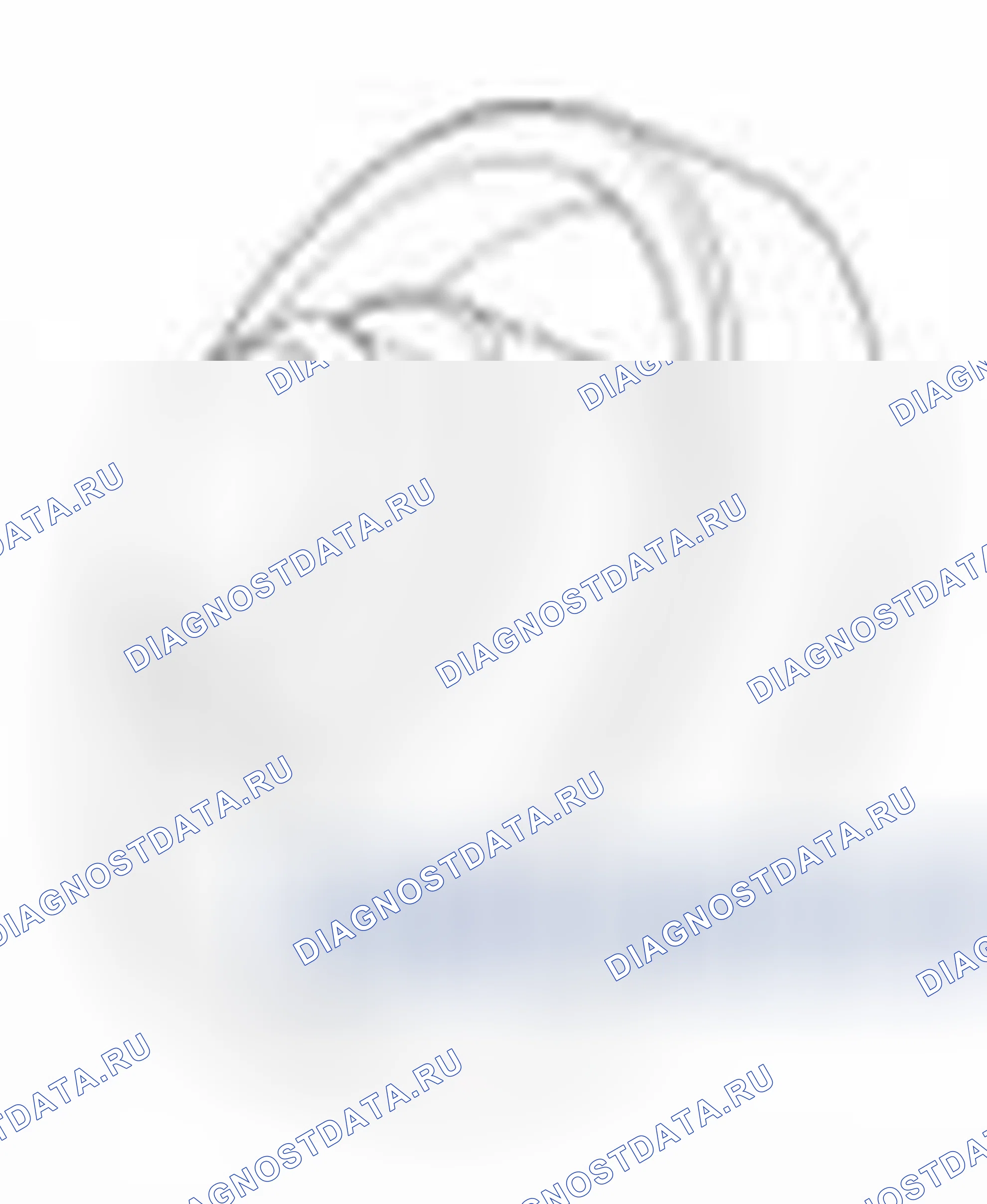 Рис. 703. Hyundai Sonata VI