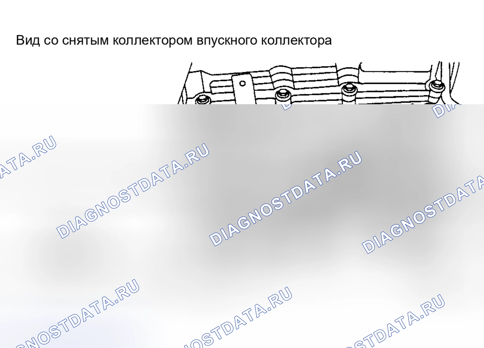 Рис. 39. Nissan Altima L31