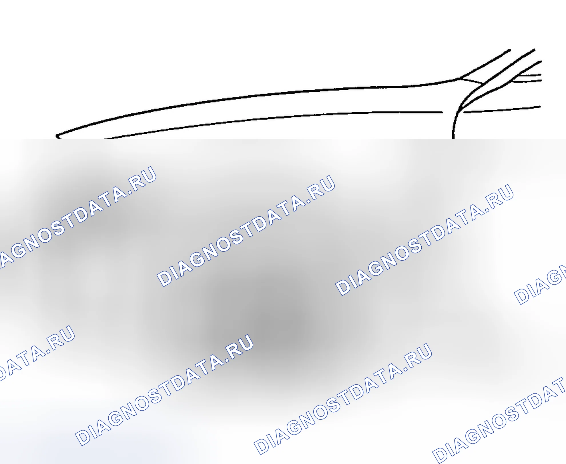 Рис. 3. Hyundai Tiburon II