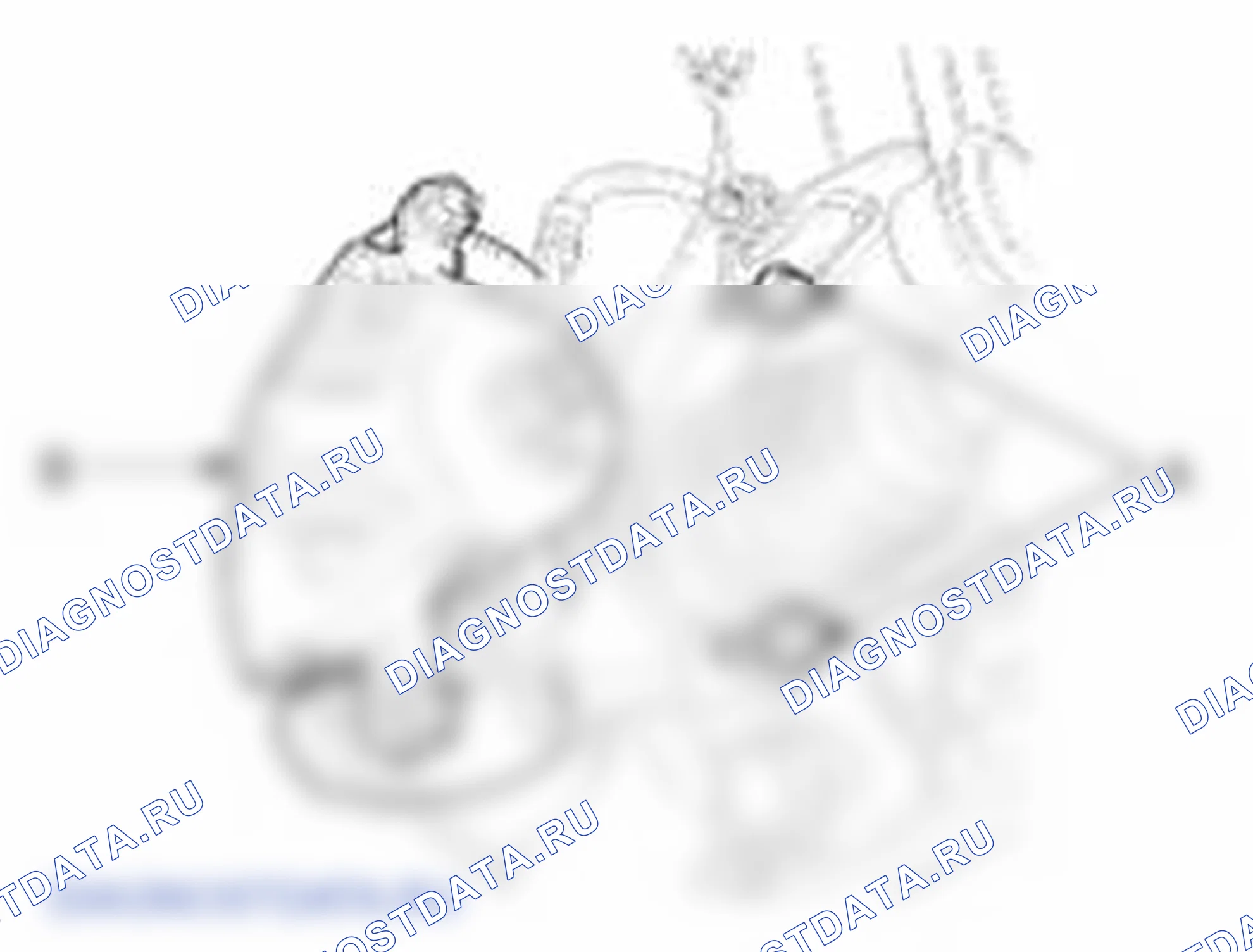 Рис. 5. Kia Soul I
