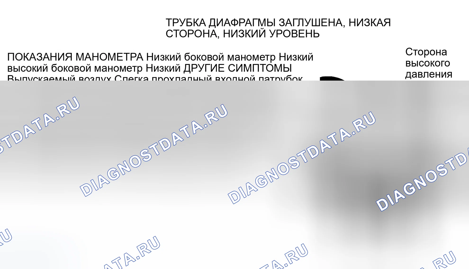 Рис. 13. Dodge Dakota WS 