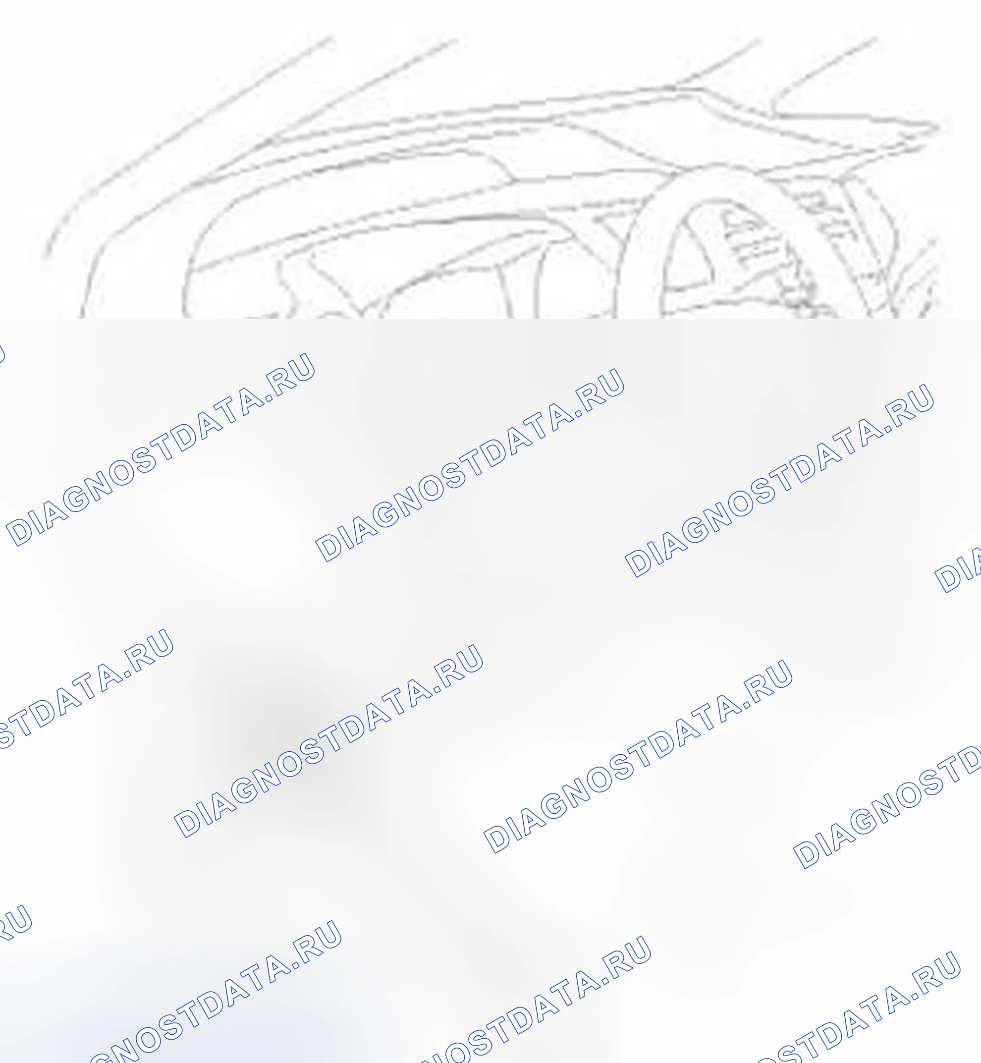 Рис. 46: Испытание. Honda Civic IX