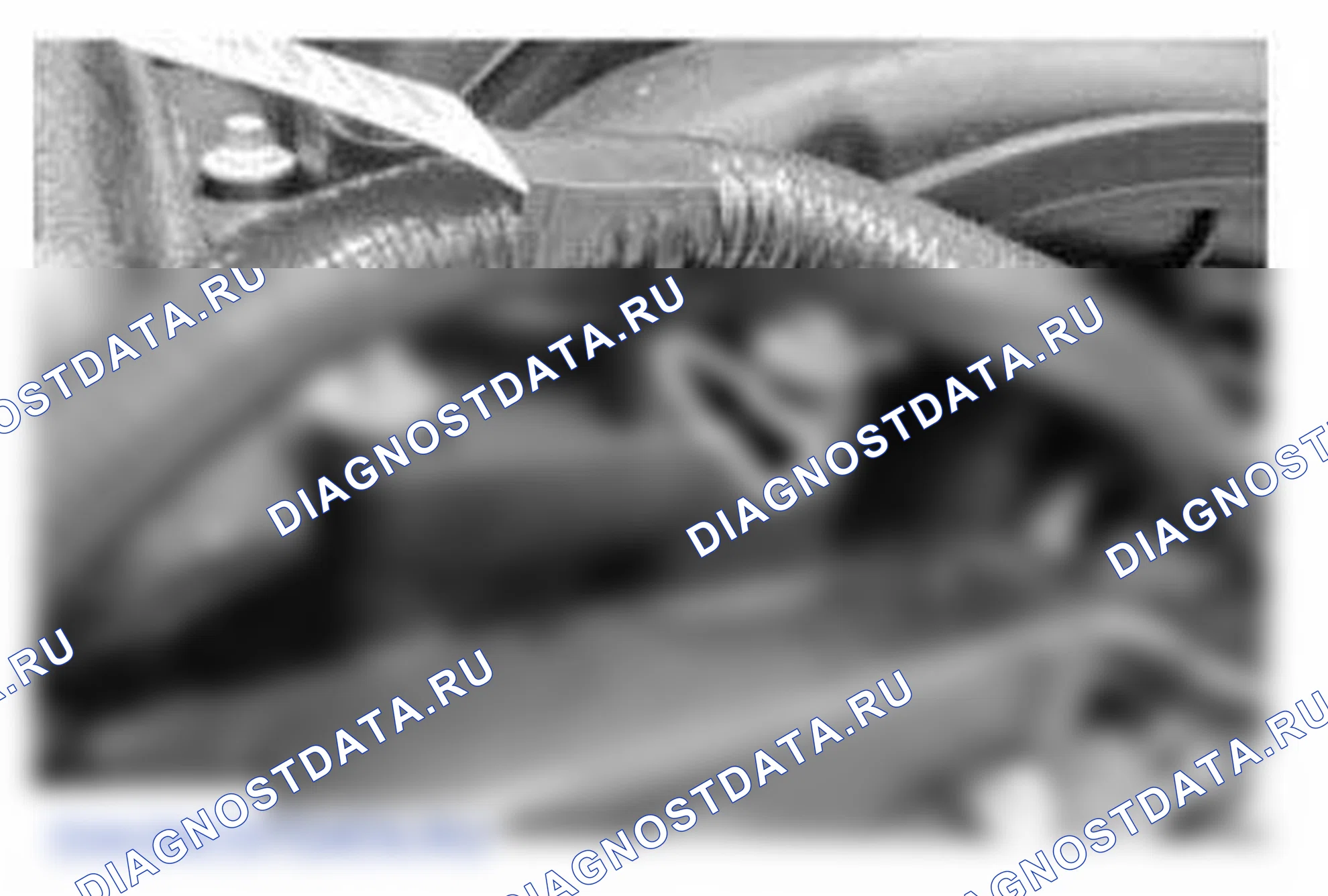 Рис. 517. Ford Mustang V рестайлинг