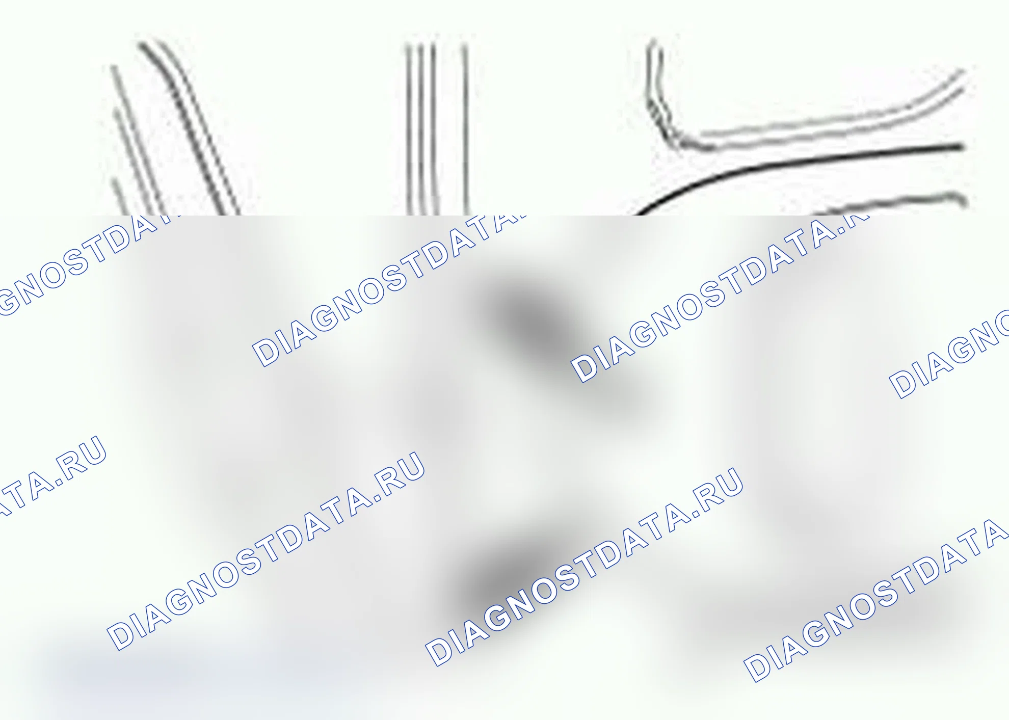 Рис. 18. Ford Econoline E250 
