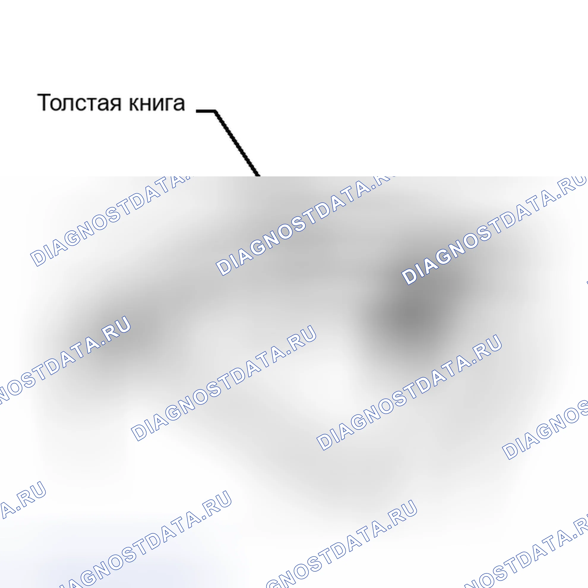 Рис. 5. Toyota RAV4 III рестайлинг