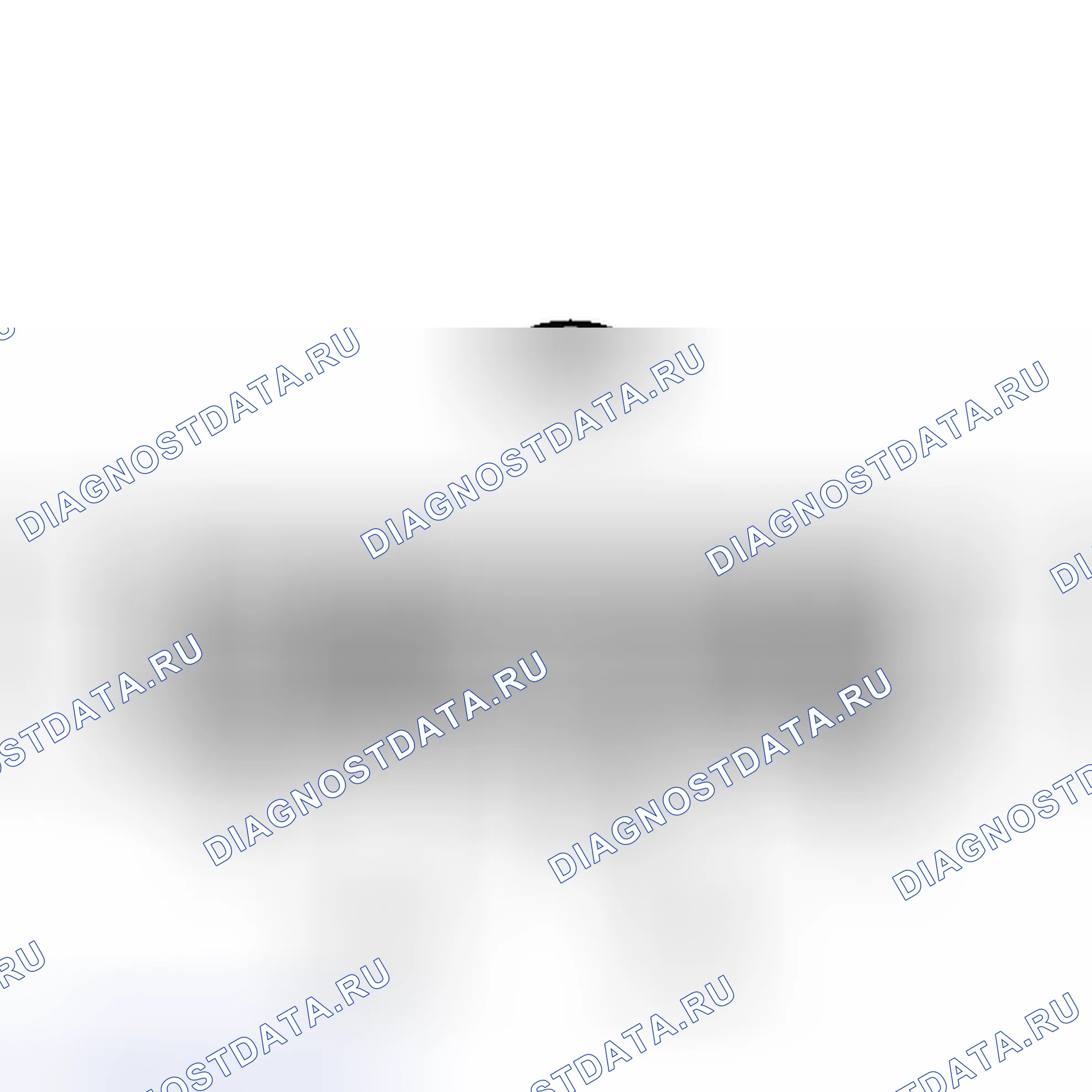 Рис. 198. Haval H6S I