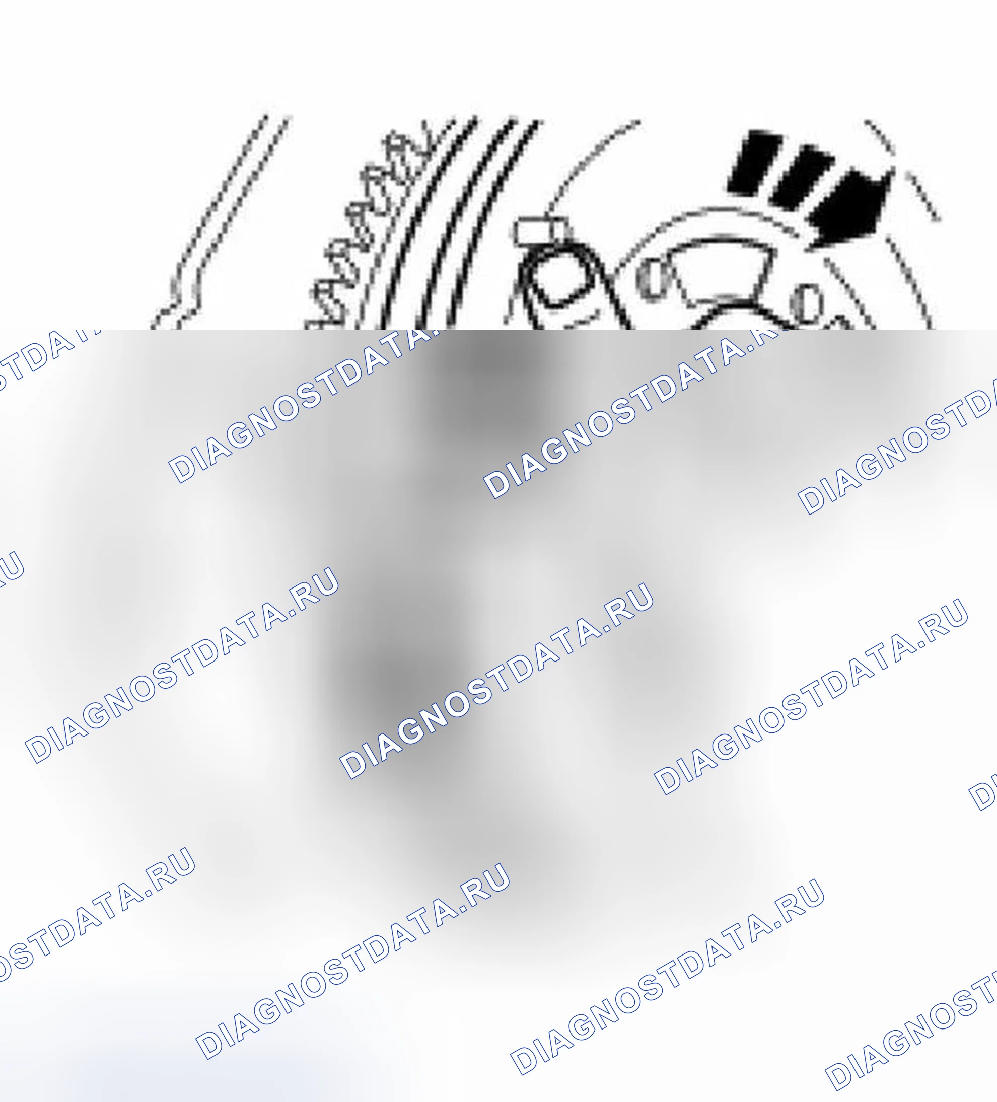 Рис. 9. Ford Focus I рестайлинг