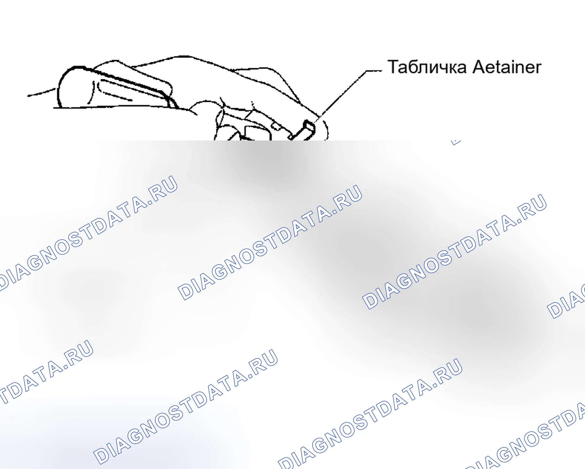 Рис. 168. Nissan Altima L31