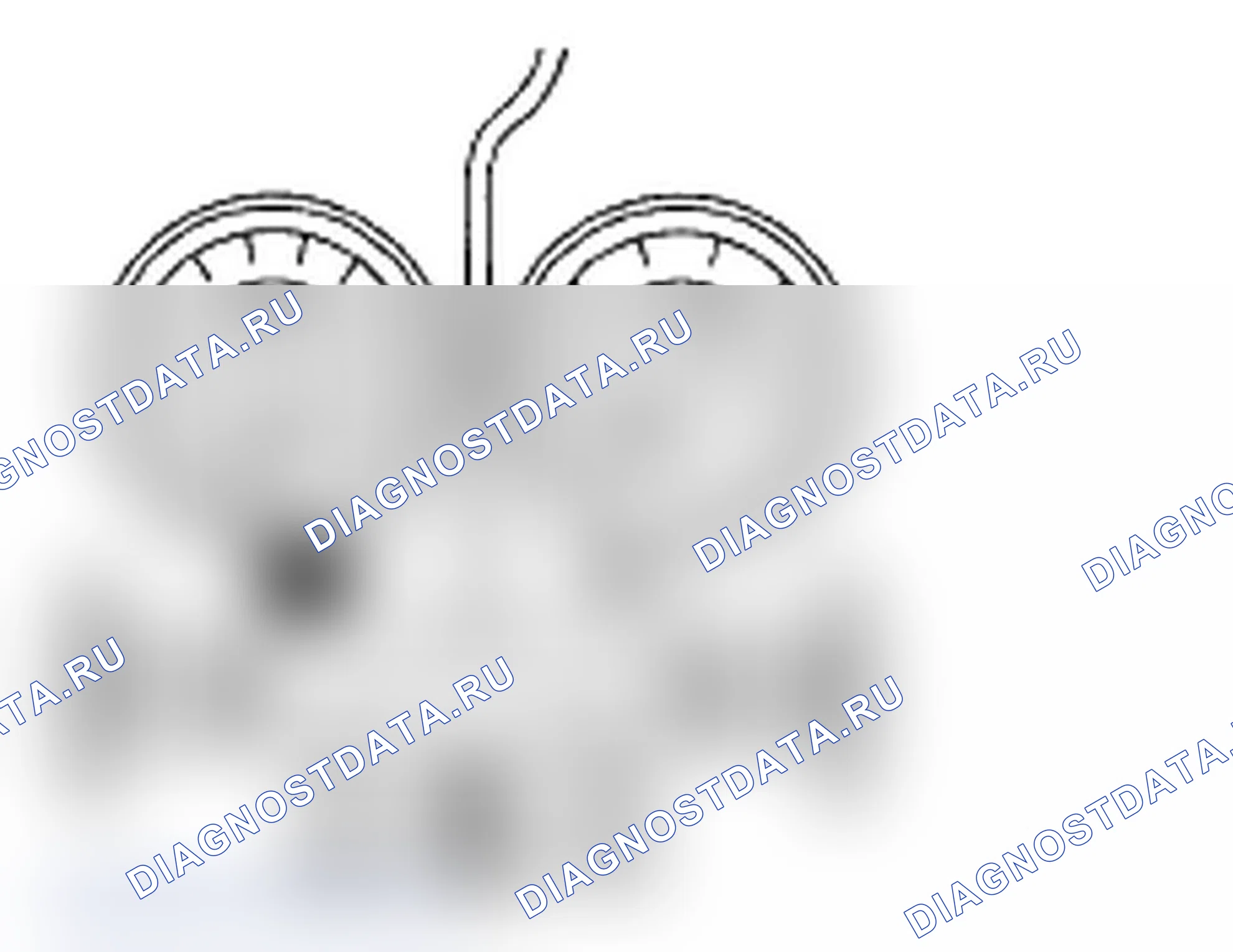 Рис. 61. Subaru Impreza WRX GD/GG рестайлинг 2