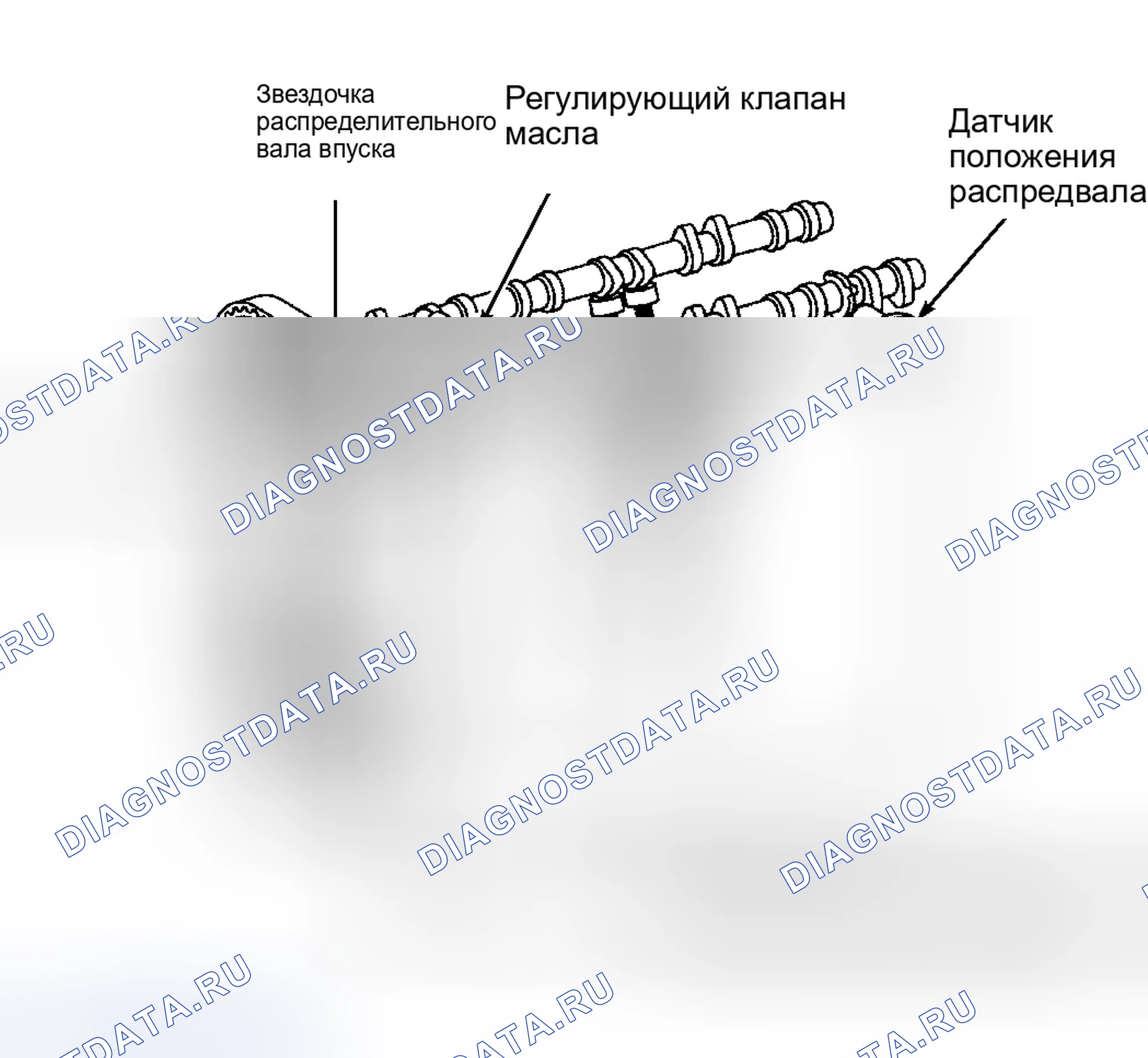 Рис. 24: Supra Non-Turbo. Toyota Avalon XX10 рестайлинг